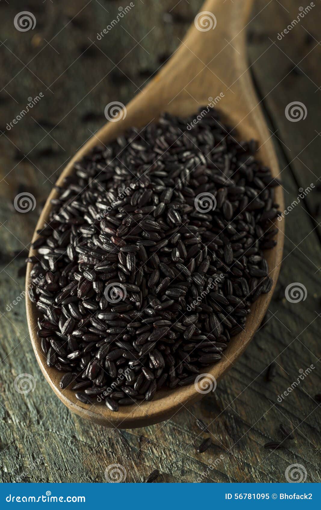 Arroz preto orgânico seco cru em uma colher