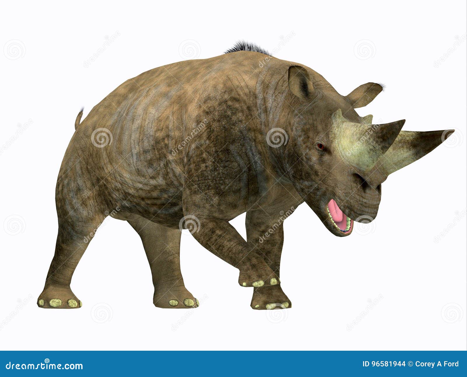 arsinoitherium mammal side profile