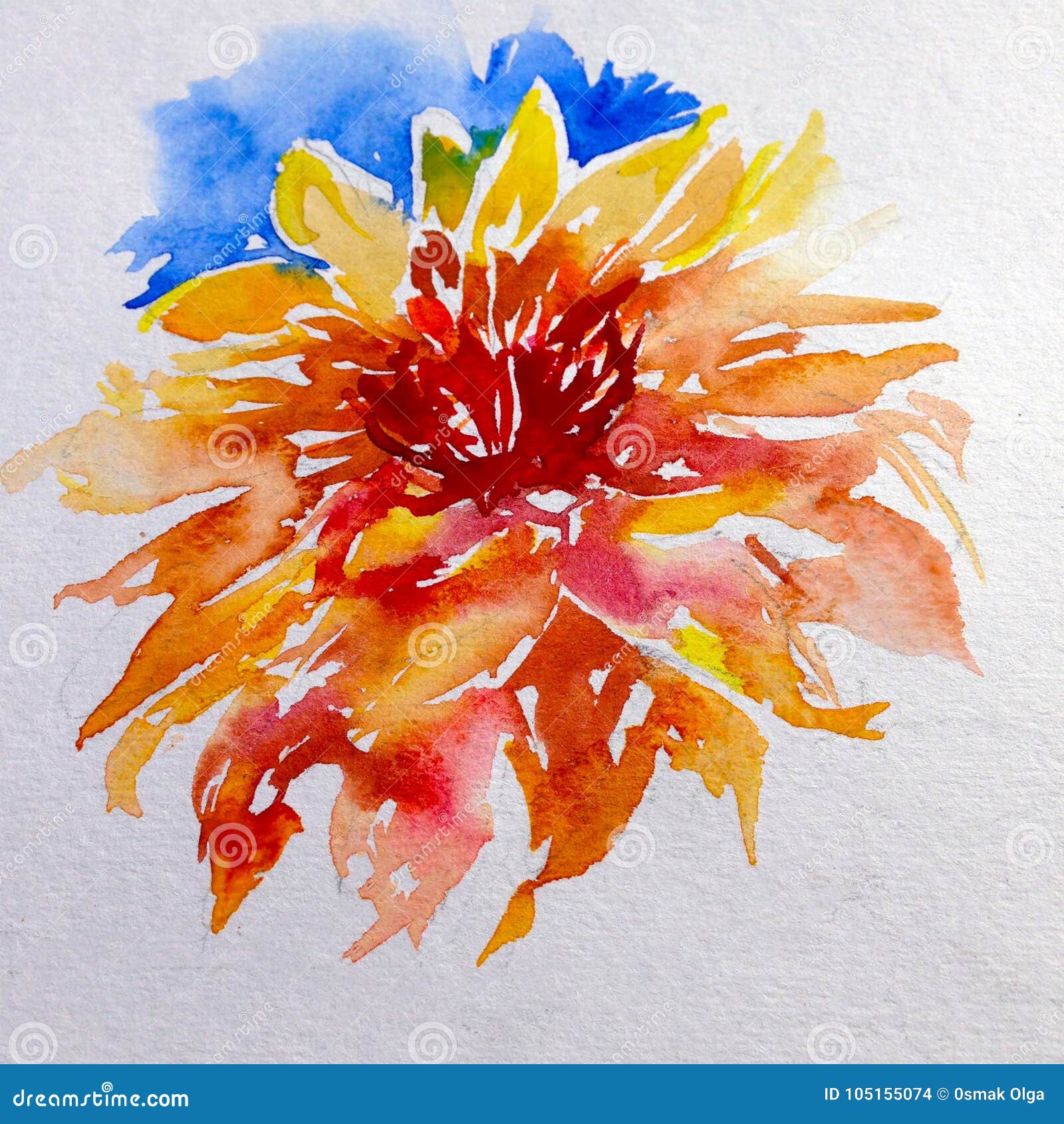 Watercolor Art Background Abstract Floral Flower Yellow Red Single Dahlia Colorful Textured Wet Wash Blurred Stock Illustration Illustration Of Beetle Black 105155074