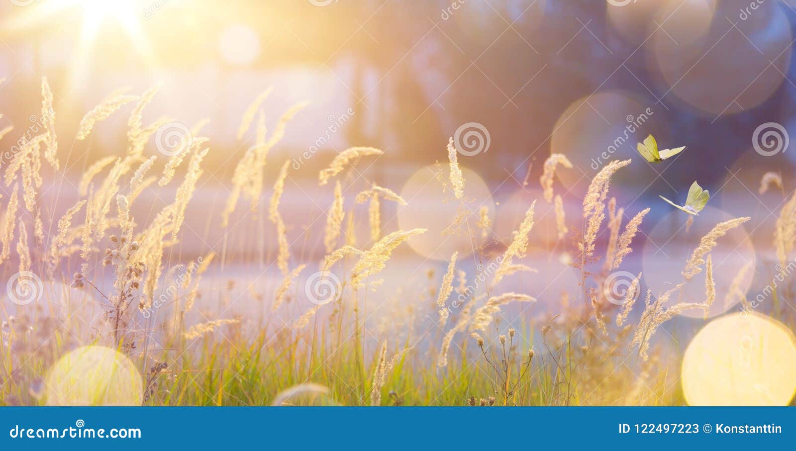 art abstract september sunny autumn meadow background