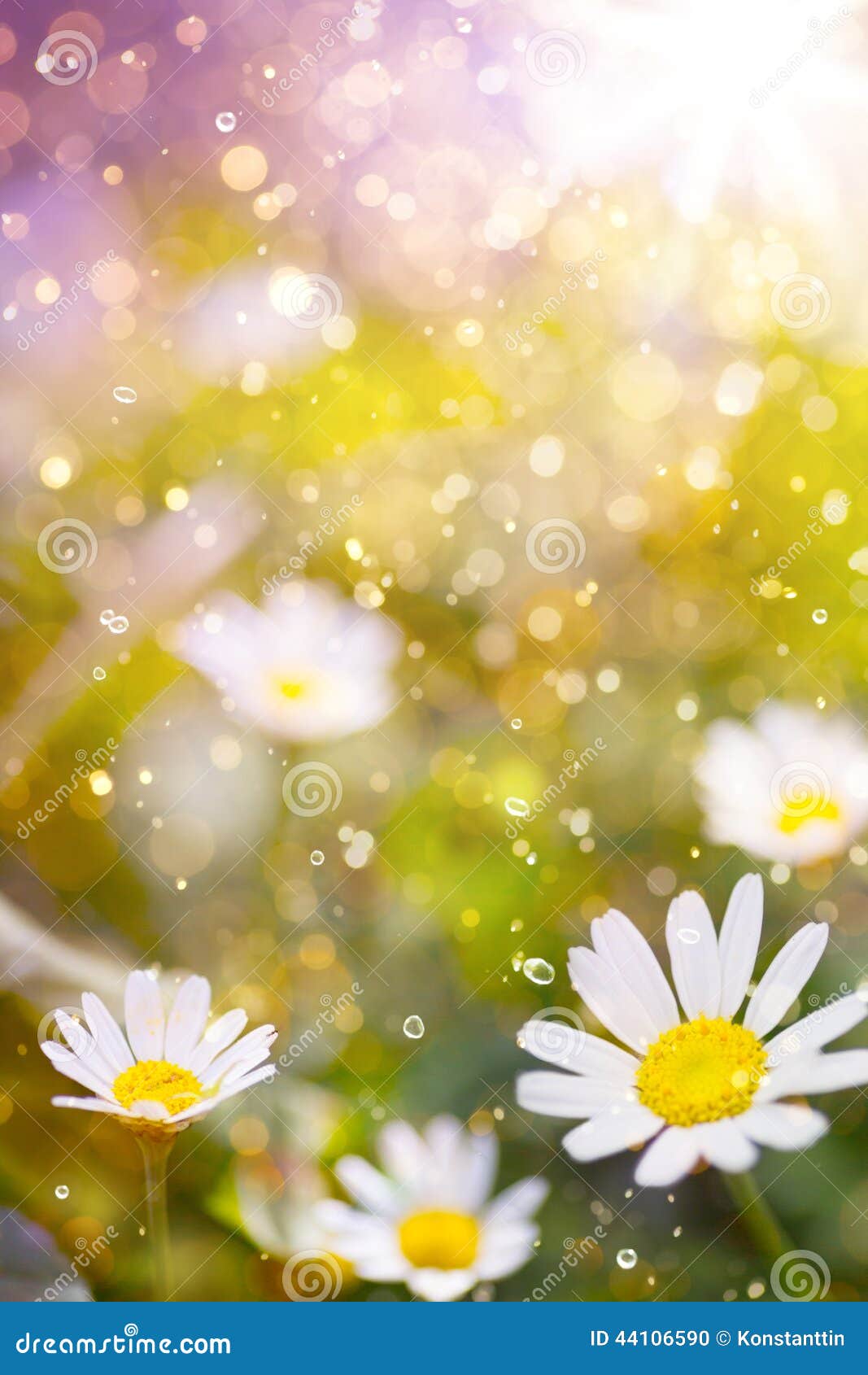 Art Beautiful Floral Background Stock Photo - Image of colorful, blur