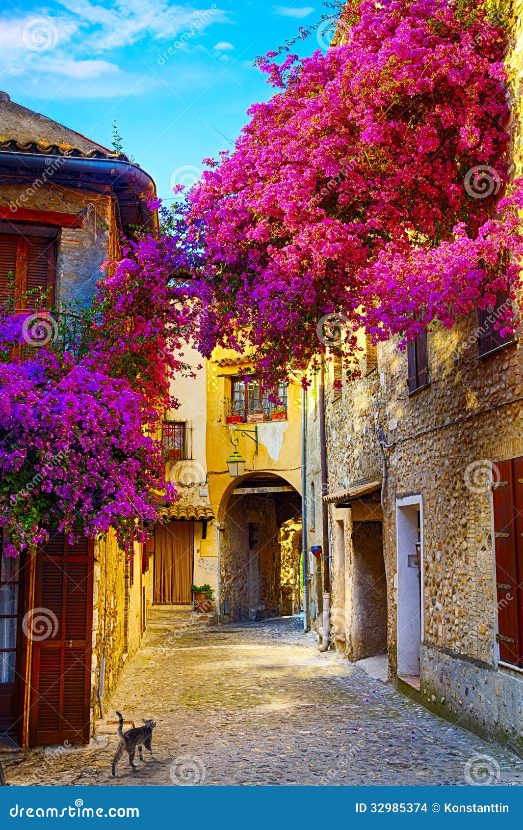 art beautiful old town of provence