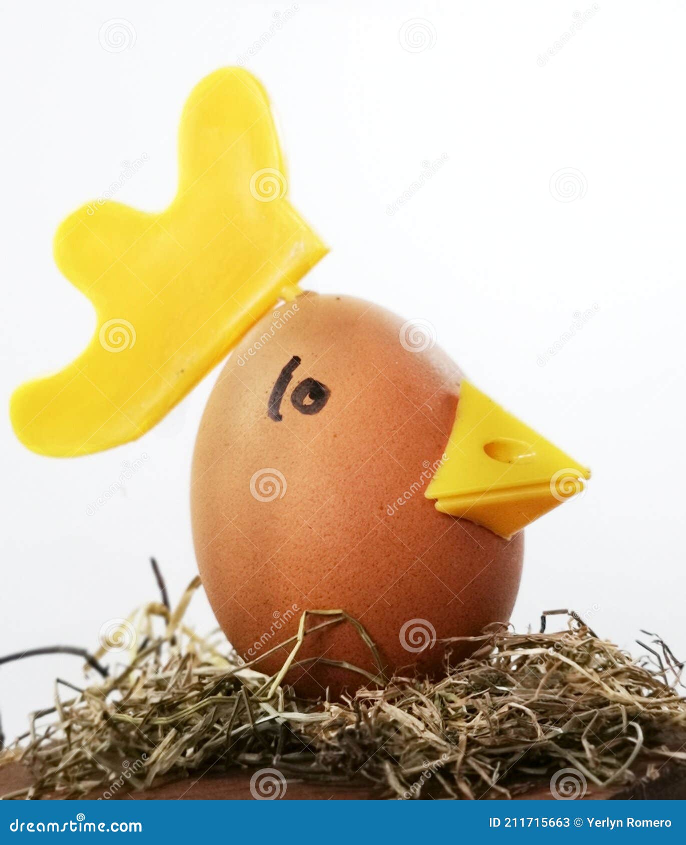 Art Chicken Egg Metaphor Rooster Bird Farm Training Education Study