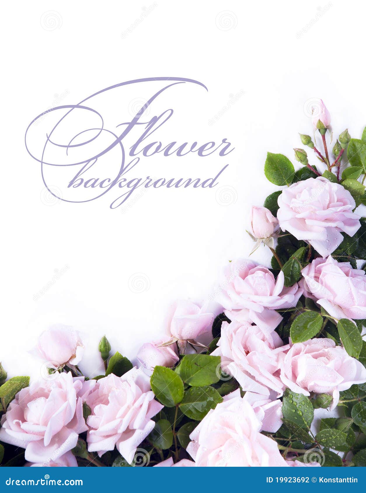 Art Flower Background for Greeting Card Stock Photo Image of garland