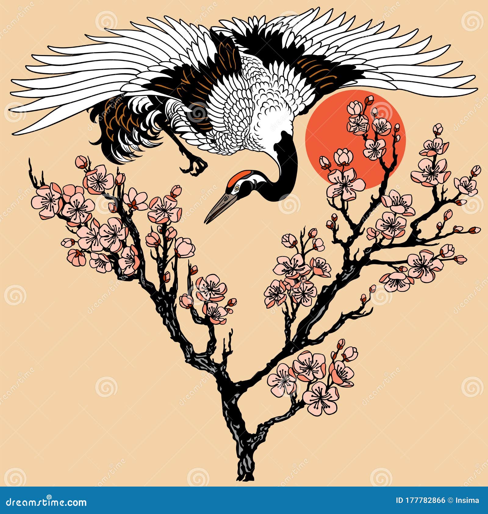 Japanese Crane Bird with Sakura Stock Vector Illustration of wildlife