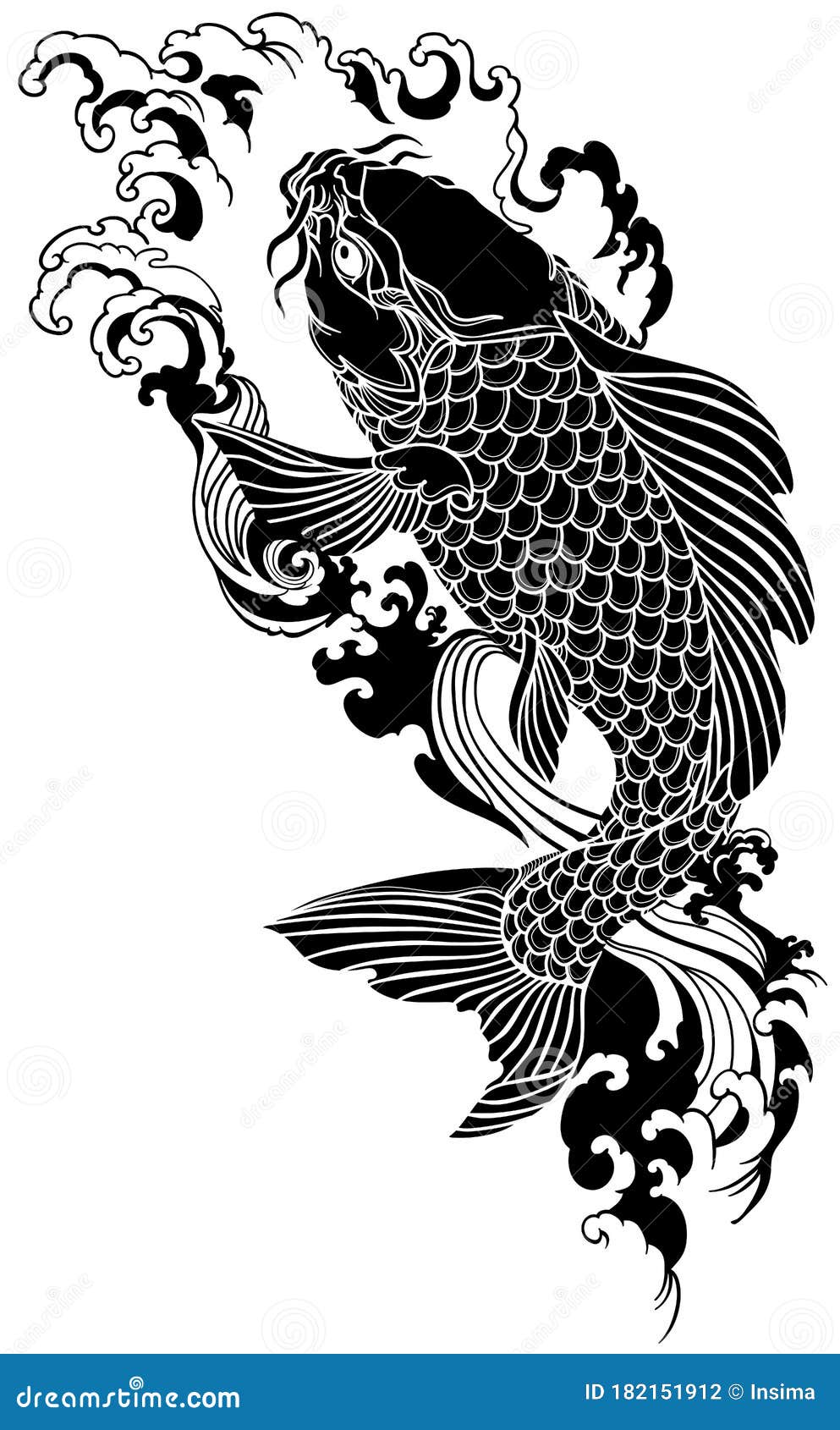 black koi carp swimming upstream