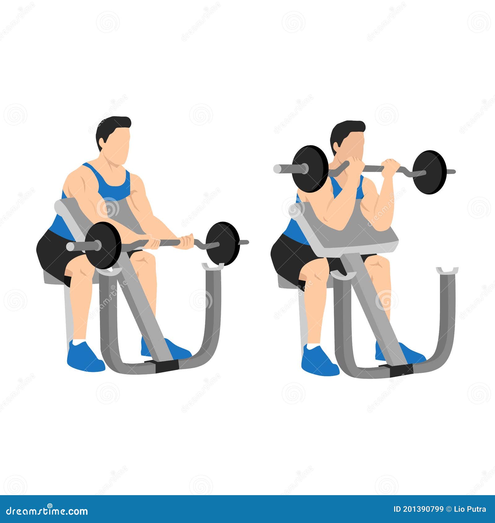 man lifting barbell in a gym on ez bar preacher curl, making biceps exercise.