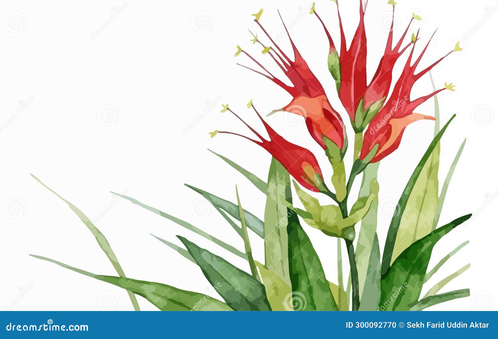 Cardinal Flower Watercolor Created with AI, Nice Looking Stock Vector