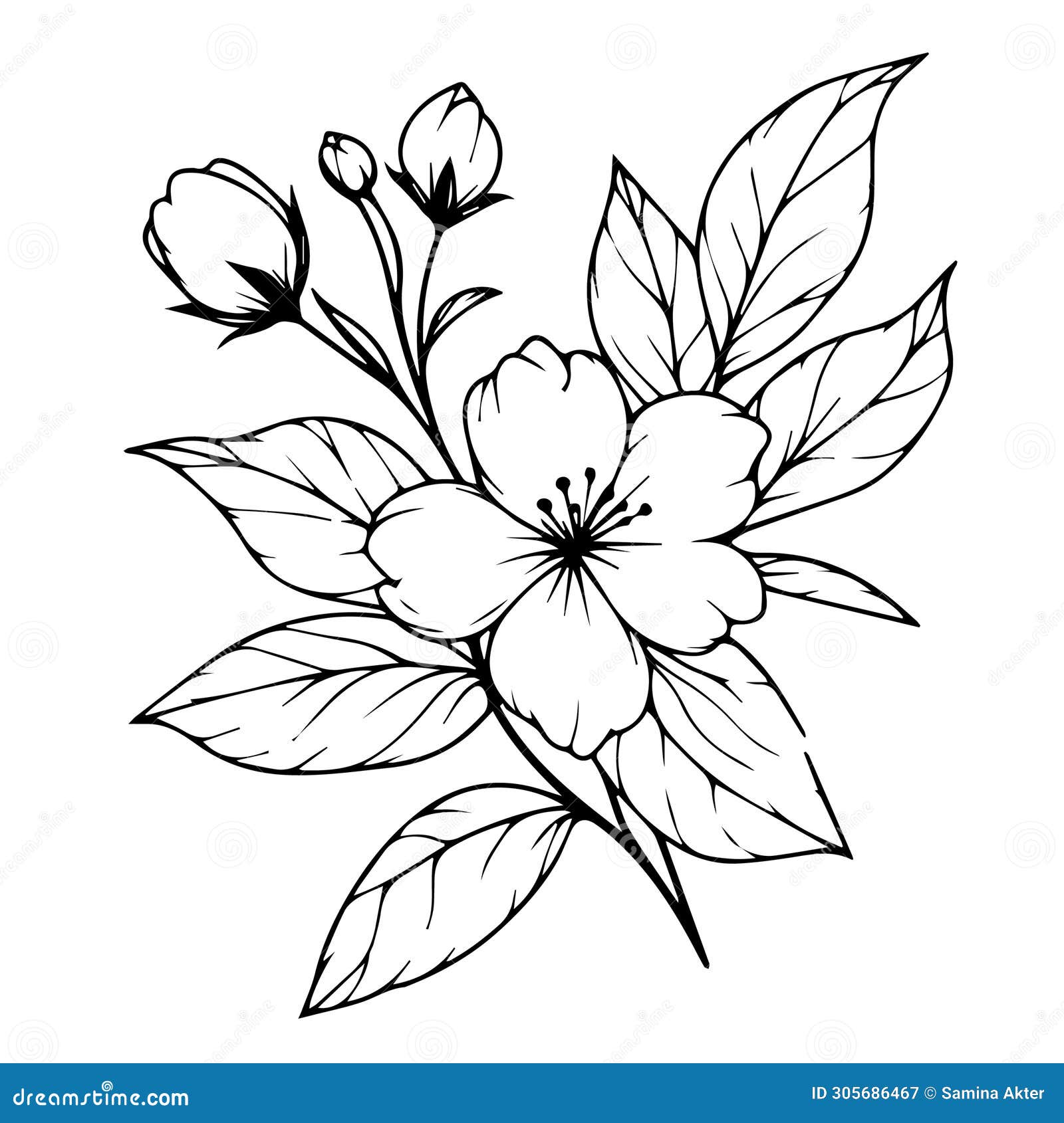 Jasmine flowers, lavender and natural branches hand drawn sketch Stock  Vector by ©Julija_grozyan 123180032