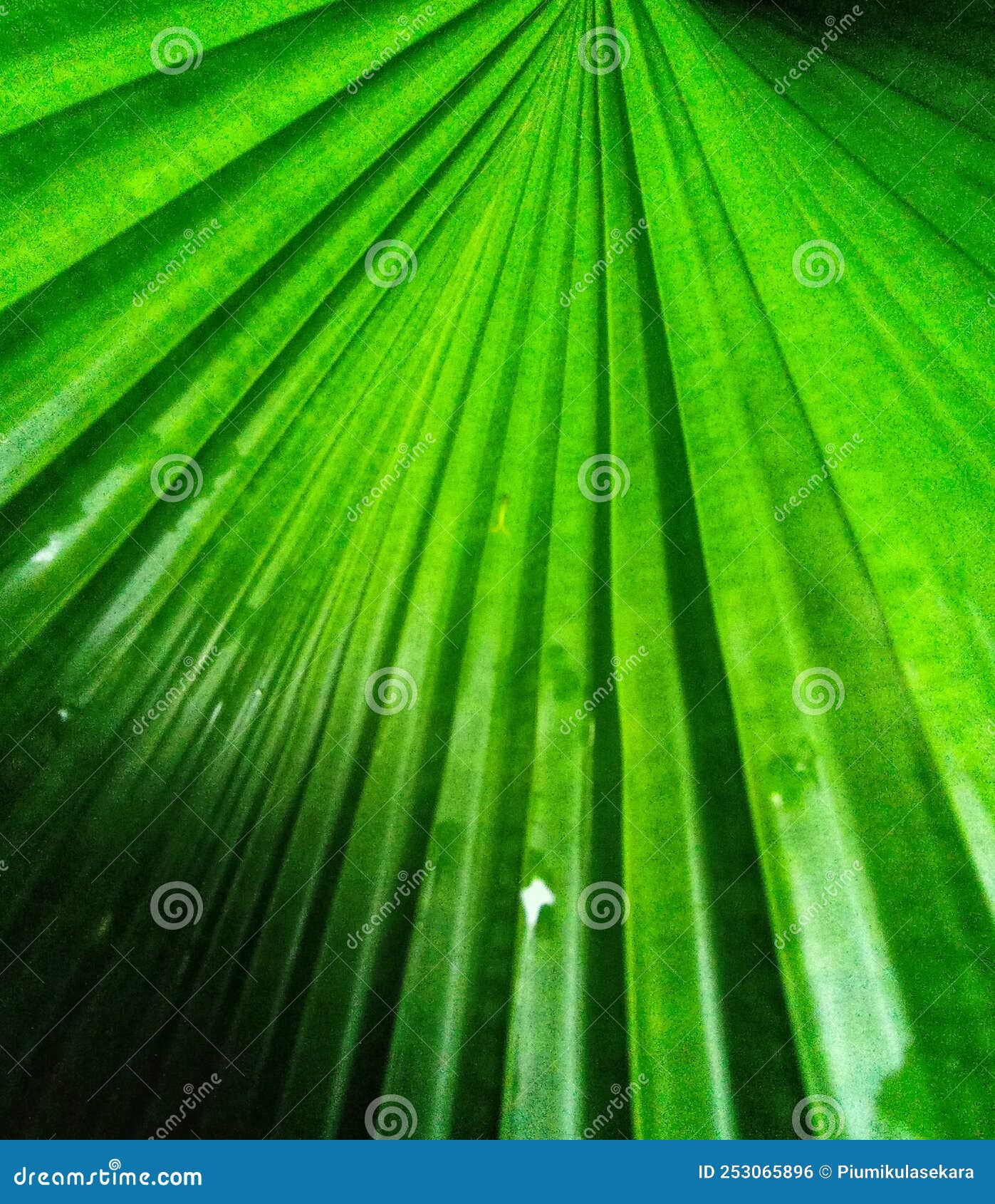 art of the leaf