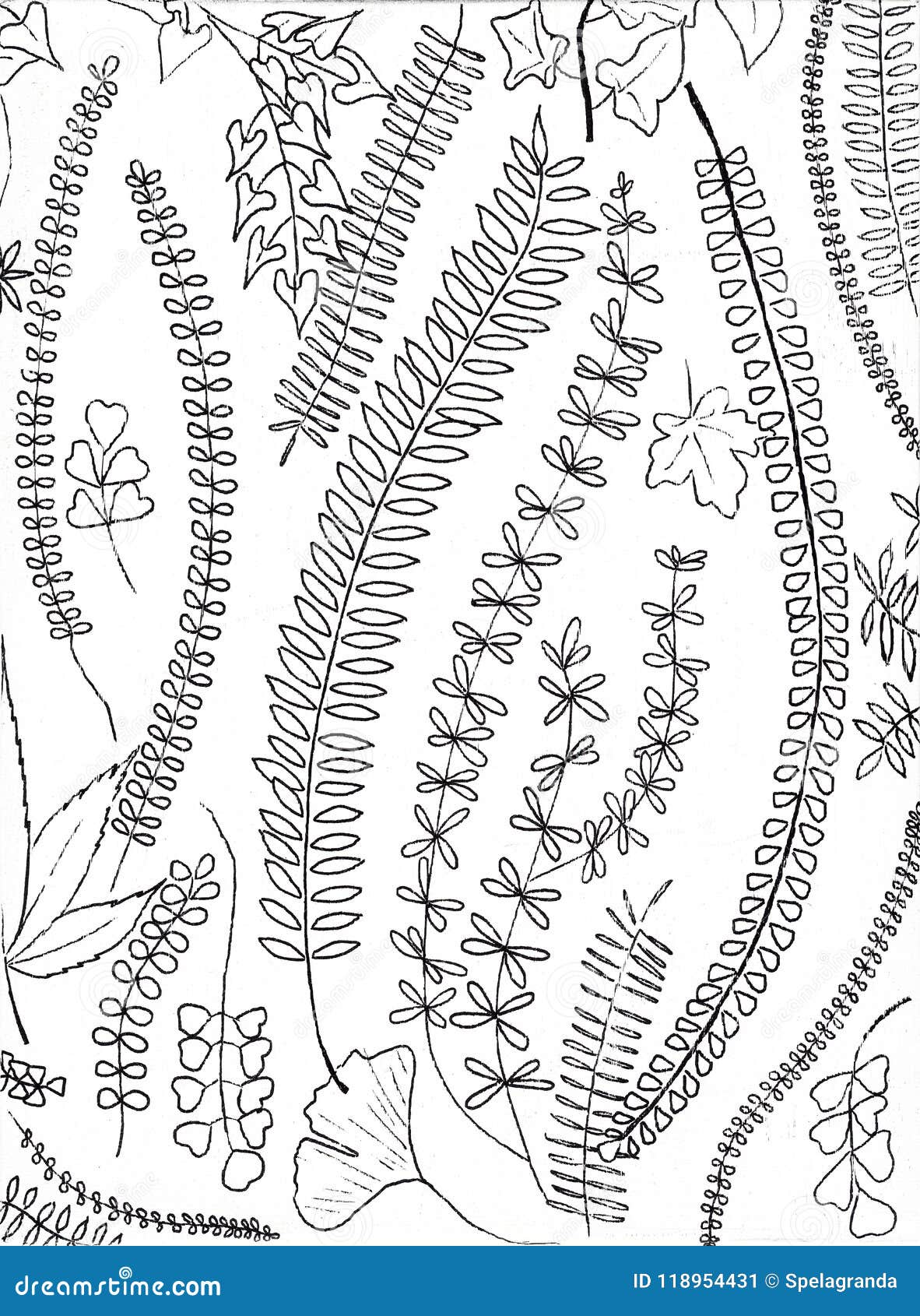 Avoir Images Art Noir Et Blanc Tire Par La Main Botanique De Papier Peint actualisé salutations