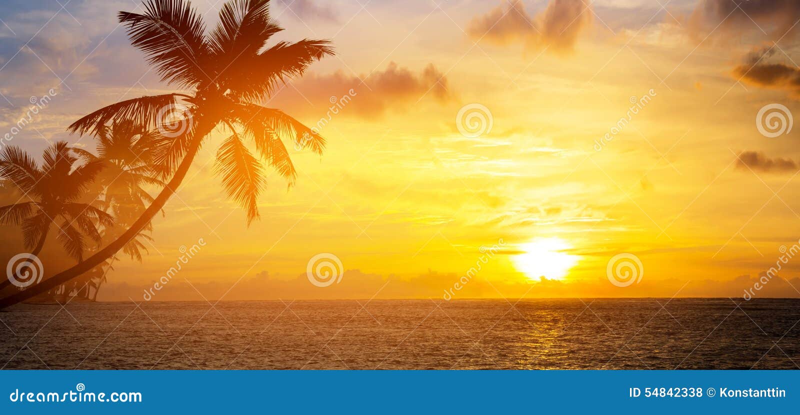 tropical beach sunrise wallpaper