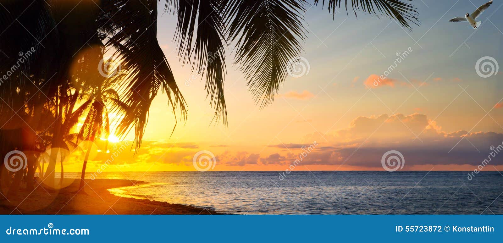 261,135 Beautiful Tropical Sunrise Stock Photos - Free \u0026 Royalty-Free Stock  Photos from Dreamstime, image size:1600x773