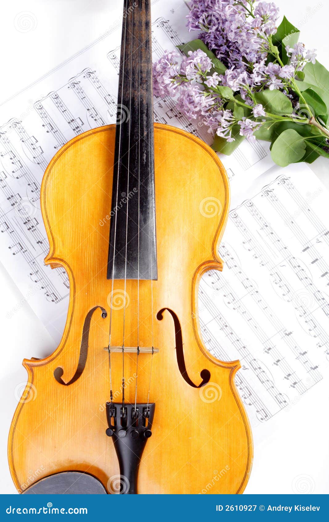 Art viola stock image. Image of note, diagonal, musician 2610927