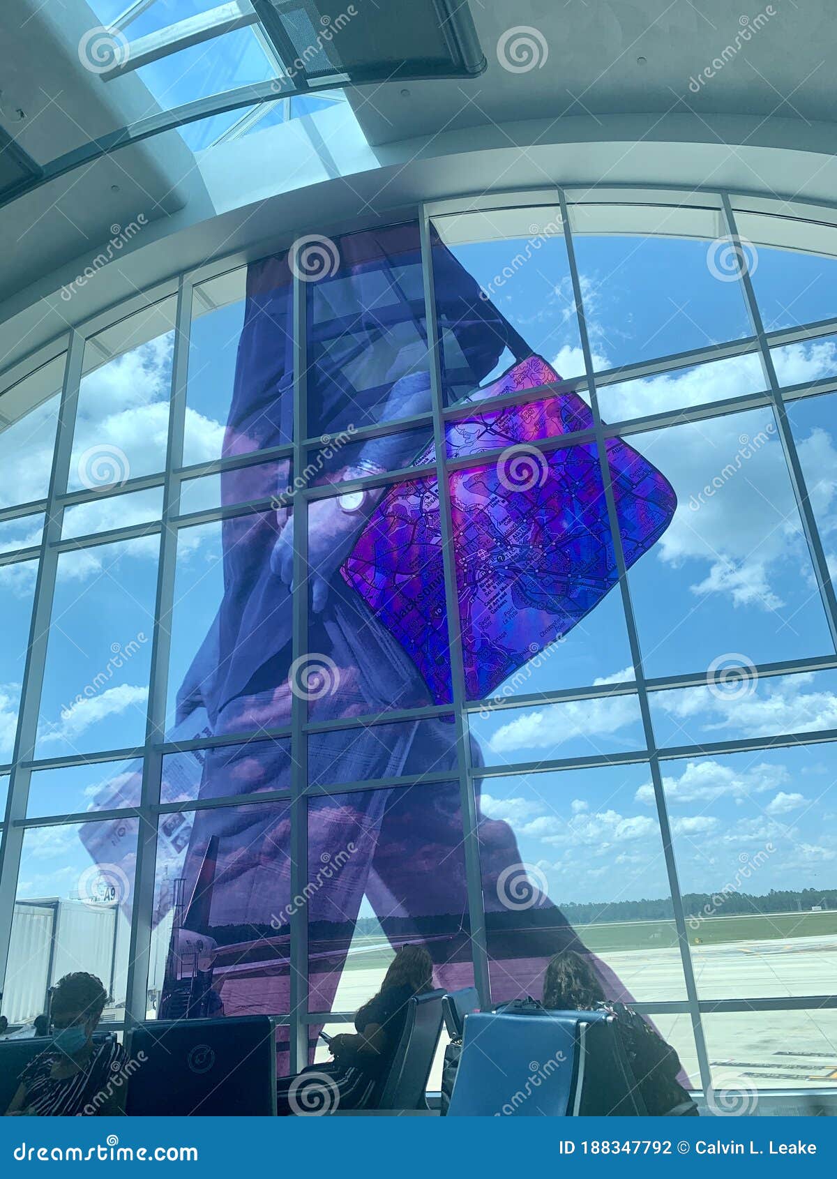 Arte Del Aeropuerto Internacional De Jacksonville Florida Fotografía  editorial - Imagen de dade, terminal: 188347792
