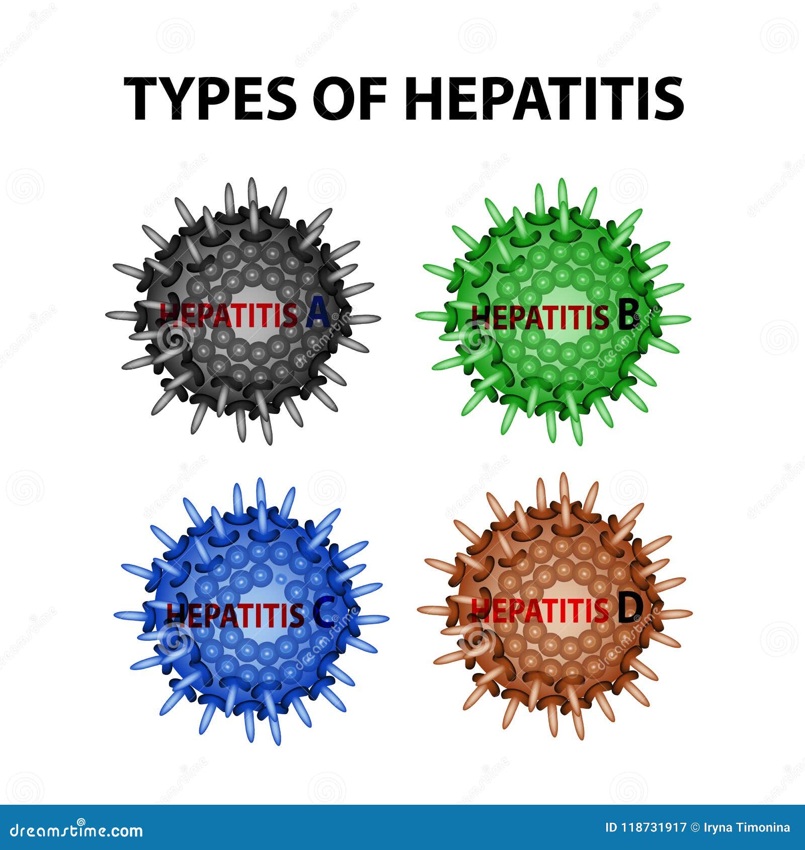 Arten Von Hepatitis Virus Hepatitis A B C D Infographics Vektorillustration Auf Lokalisiertem Hintergrund Vektor Abbildung Illustration Von Hepatitis Hintergrund