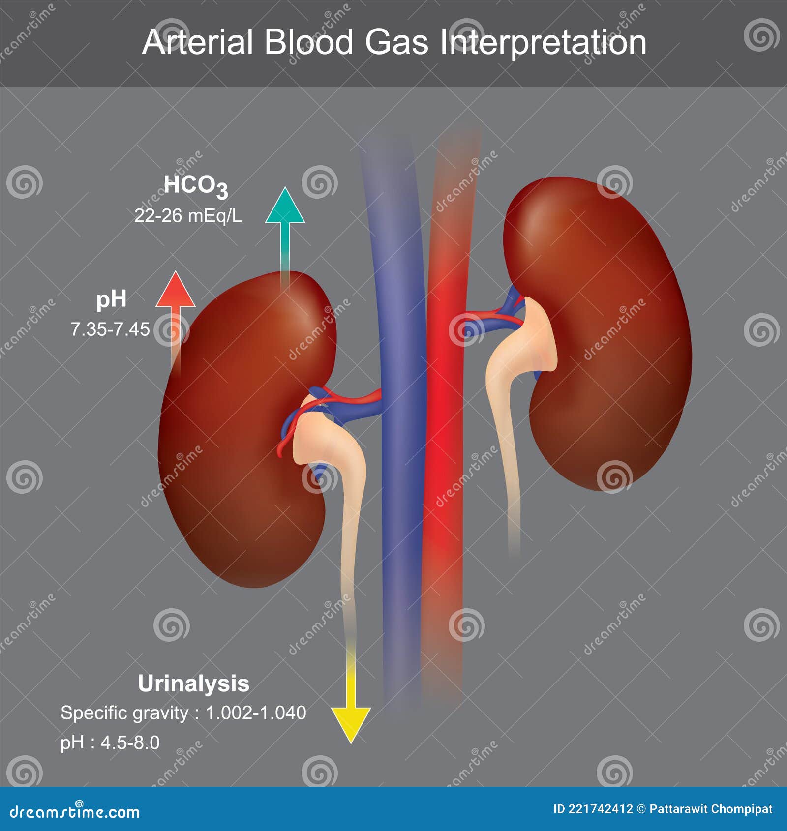 arterial blood gas interpretation. 