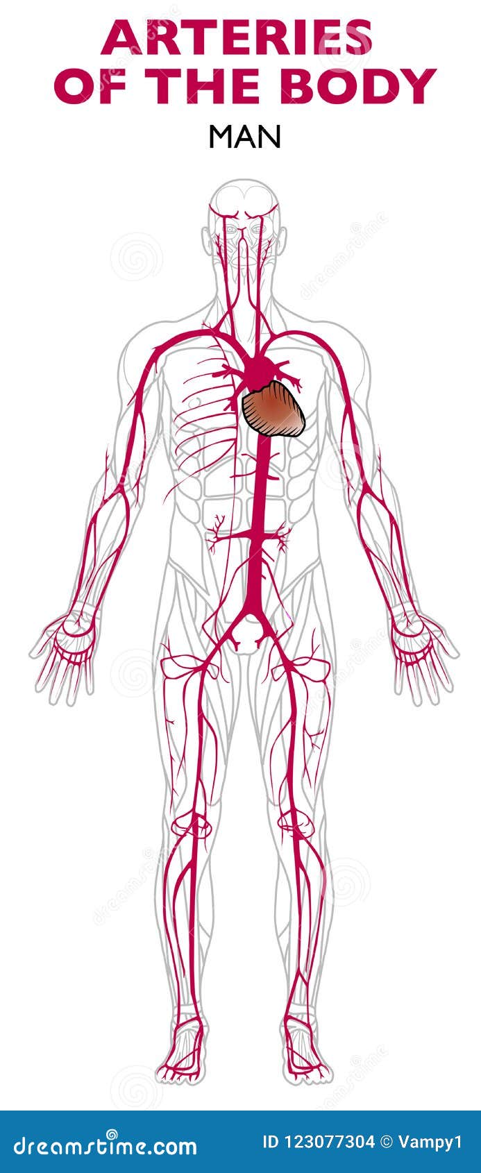 download häufige urologische erkrankungen im kindesalter klinik diagnose therapie