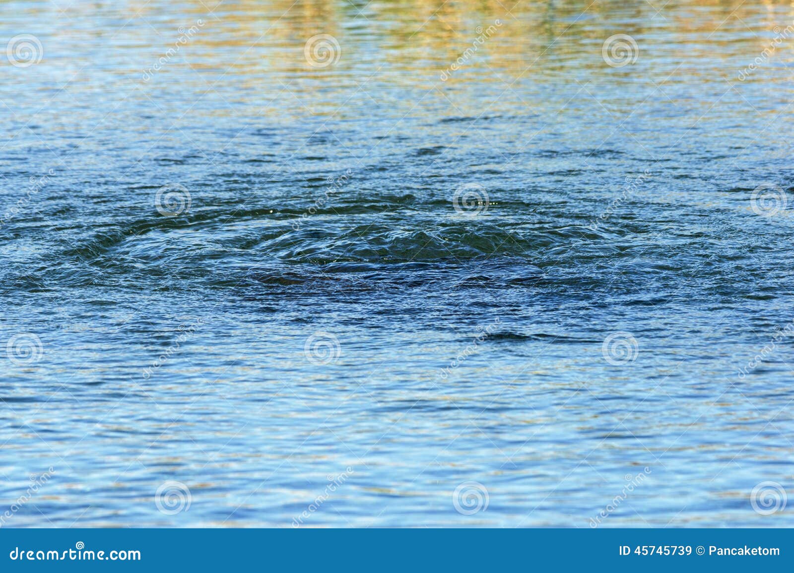 artesian spring