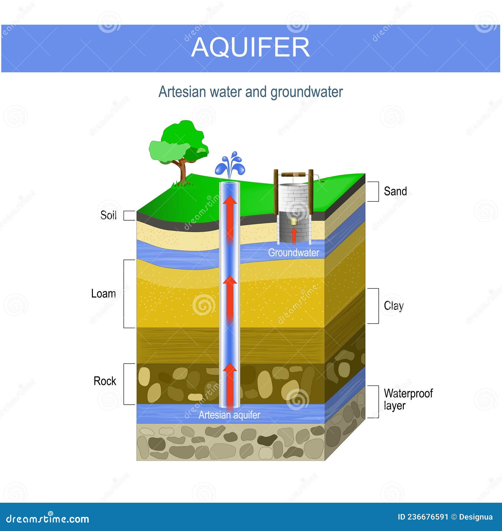 artesian water and groundwater. aquifer and artesian well