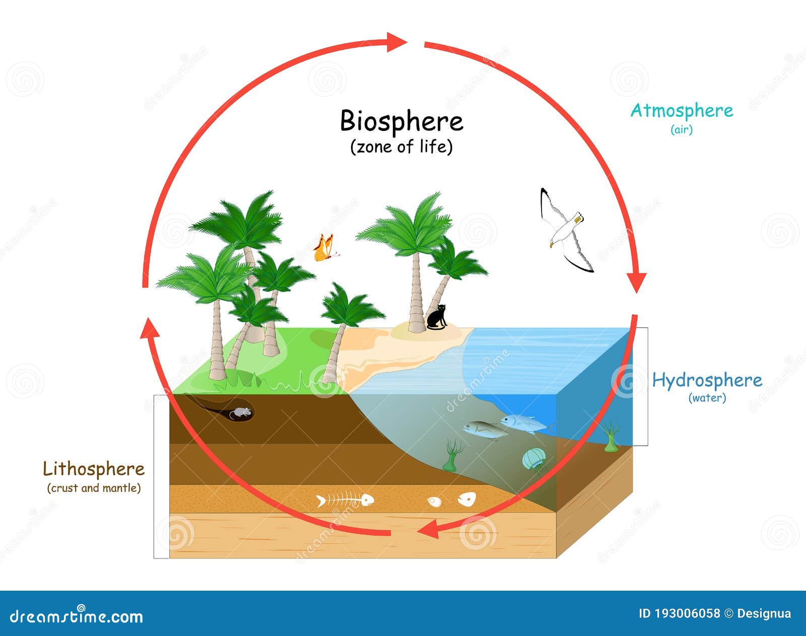 biosphere is a zone of life on earth