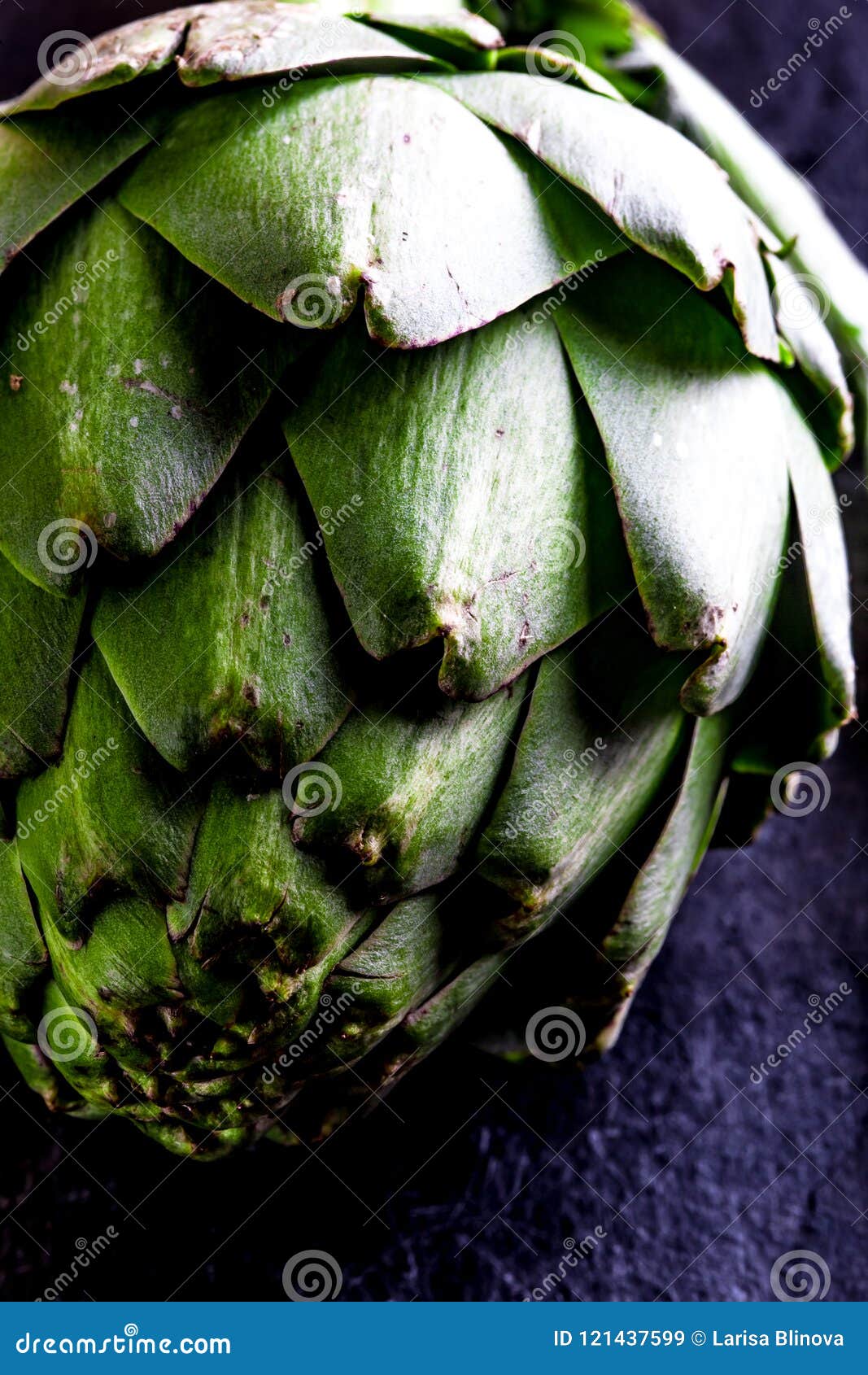 artichoke. close up of artichoke, top view, dark background. macro