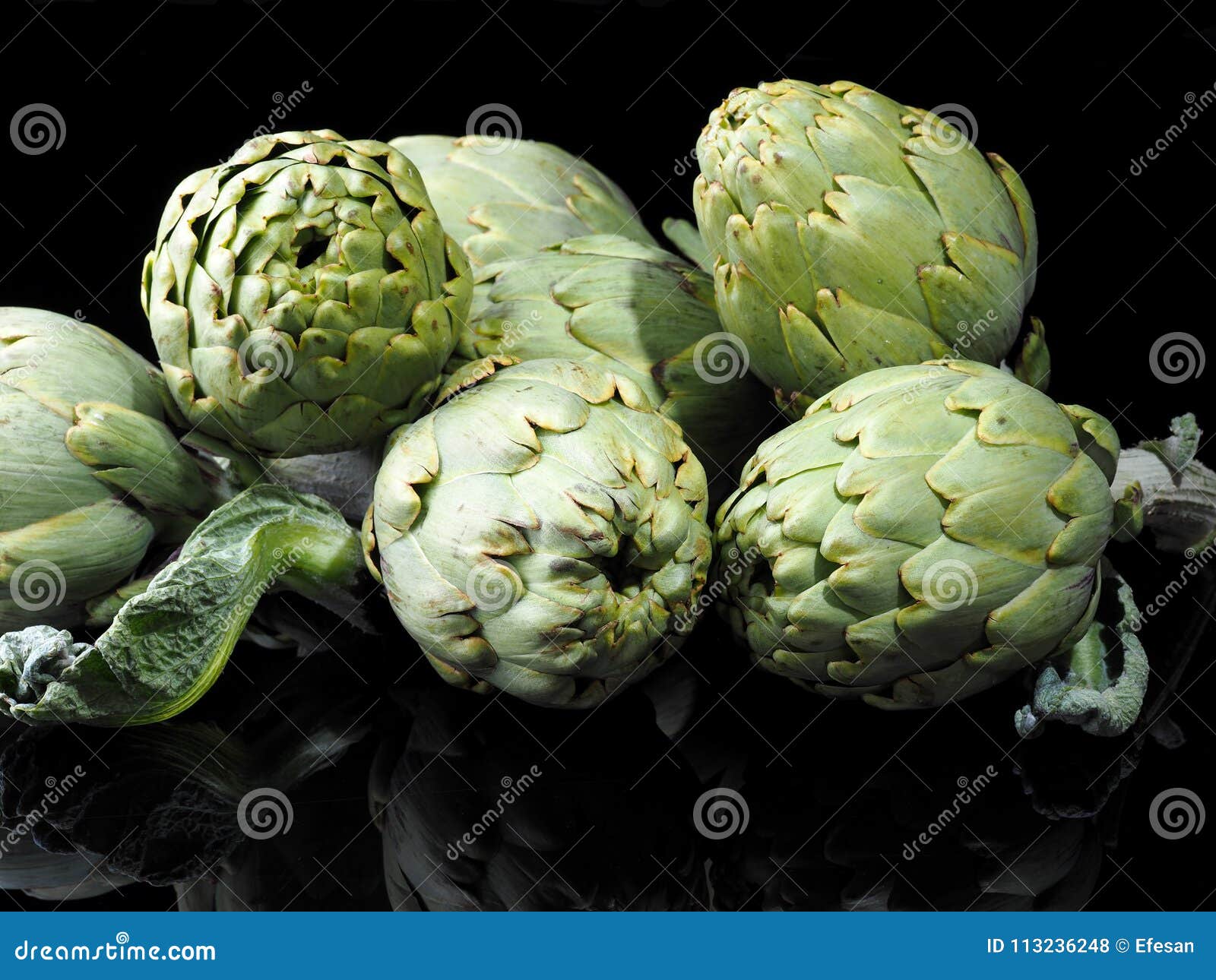 alcachofa - artichoke