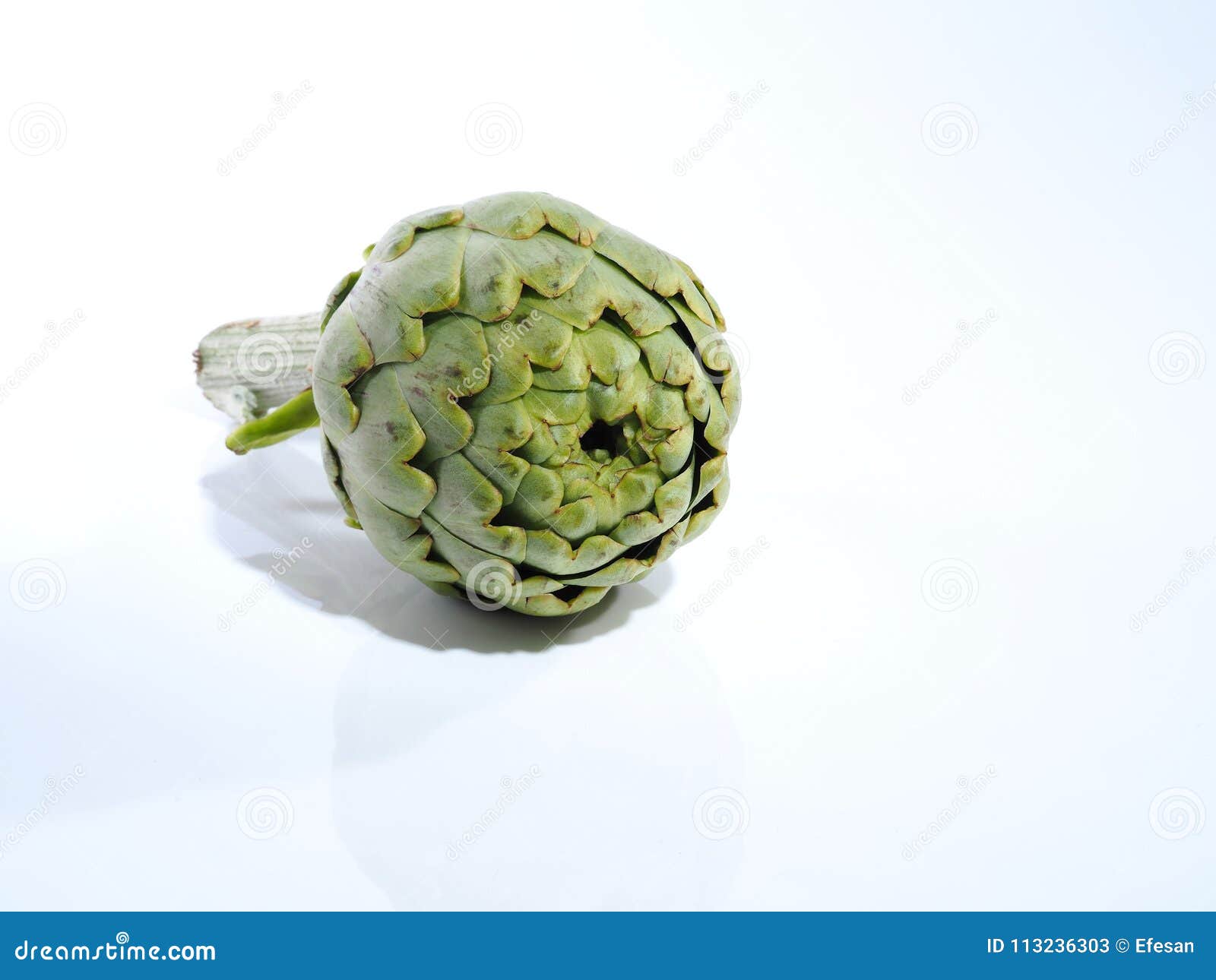 alcachofa - artichoke