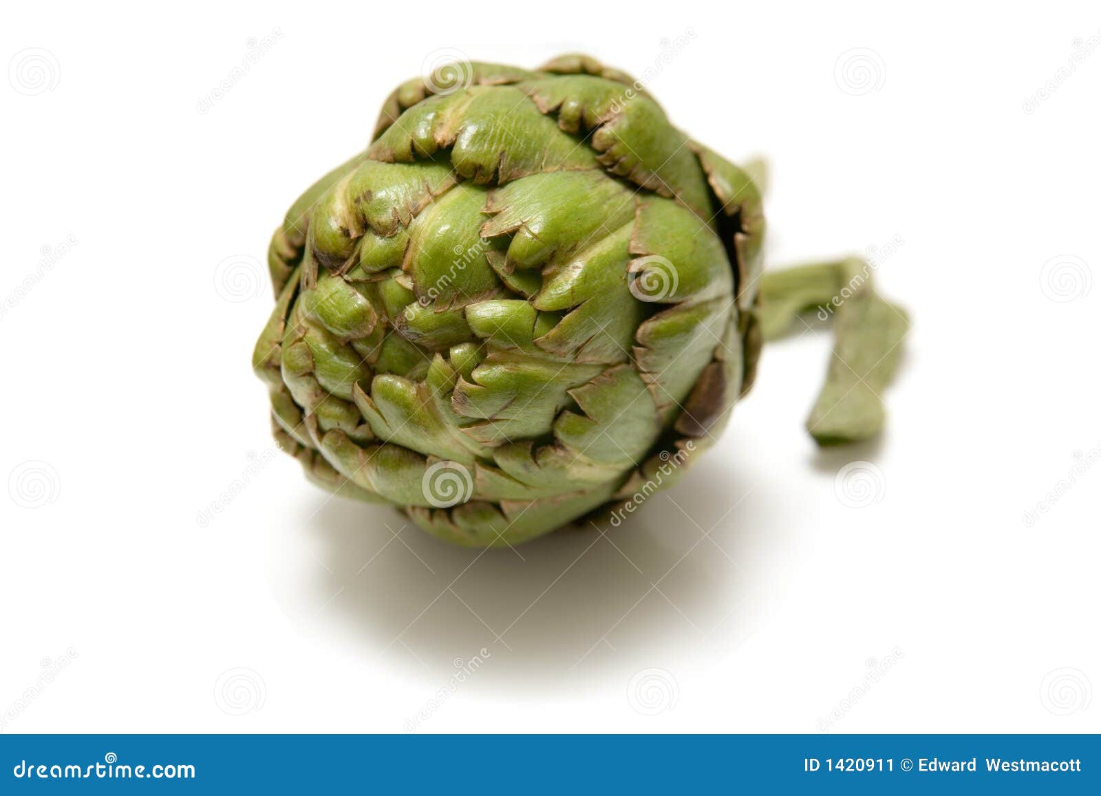 Artichoke flower head stock image. Image of background 1420911