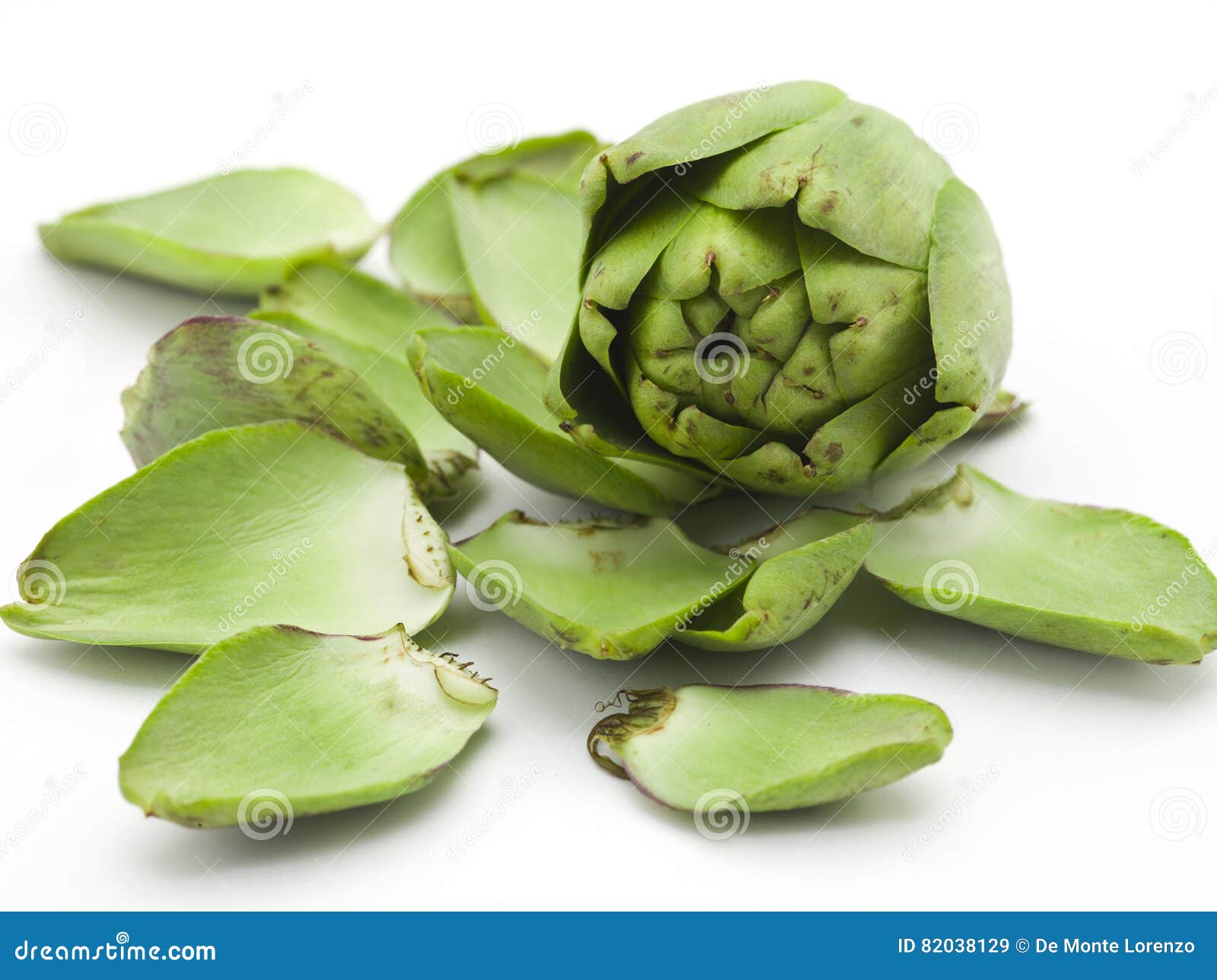 Artichoke with Leaves stock image. Image of nutrition 82038129
