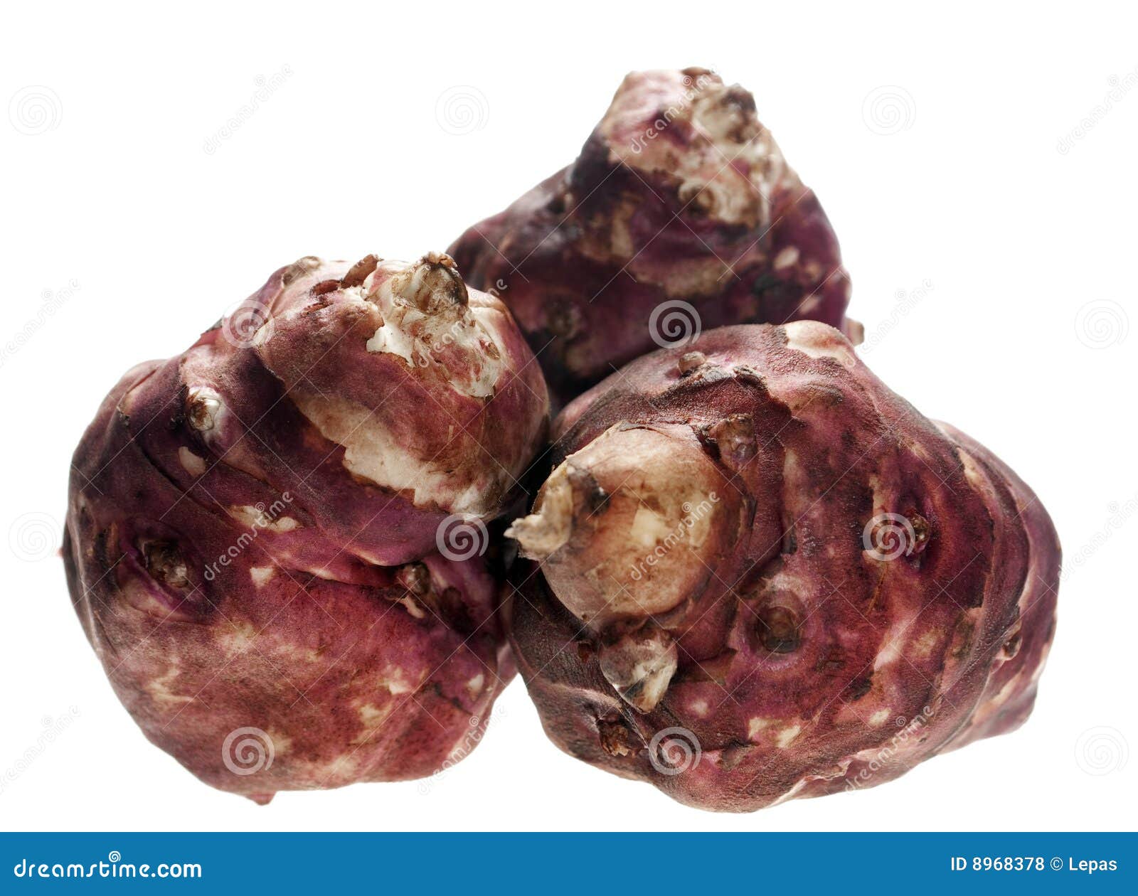 Artichoke root stock photo. Image of white, group, meal 8968378