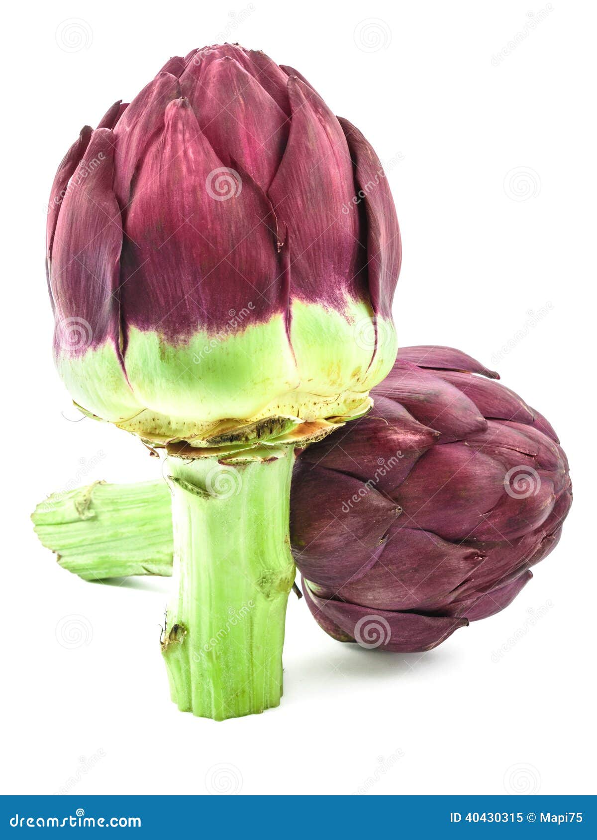 Artichoke, two stock image. Image of sunny, cooking, better 40430315