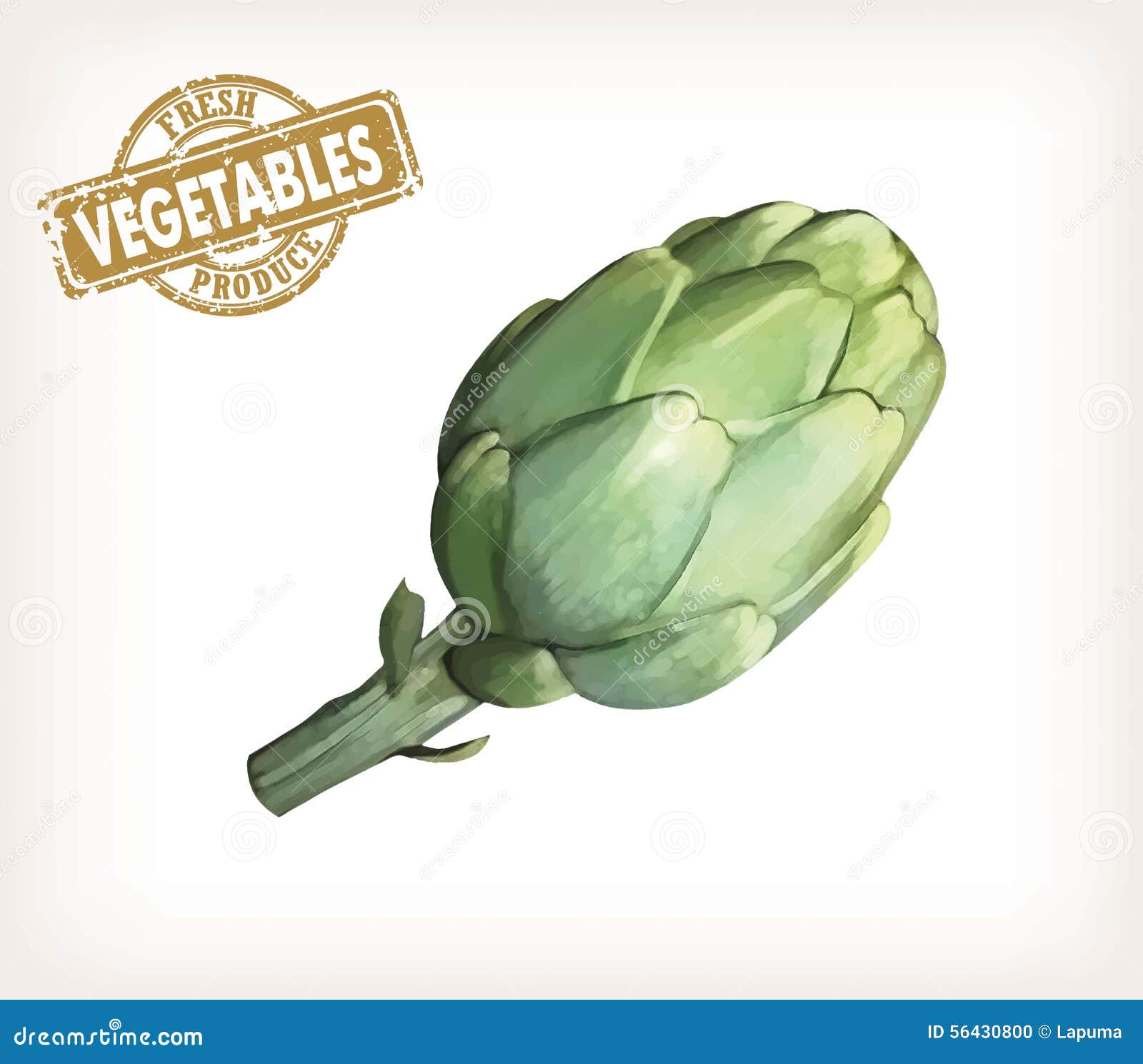Artichoke Nutrient Of Facts And Health Benefits, Info Graphic Vector