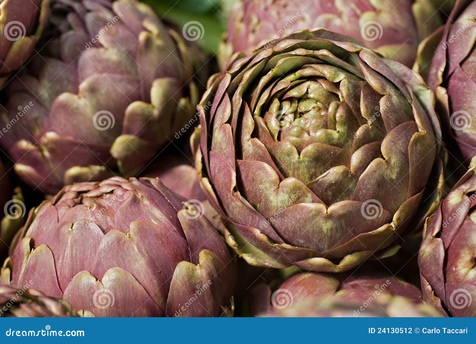 Artichokes stock photo. Image of gourmet, market, diet 24130512