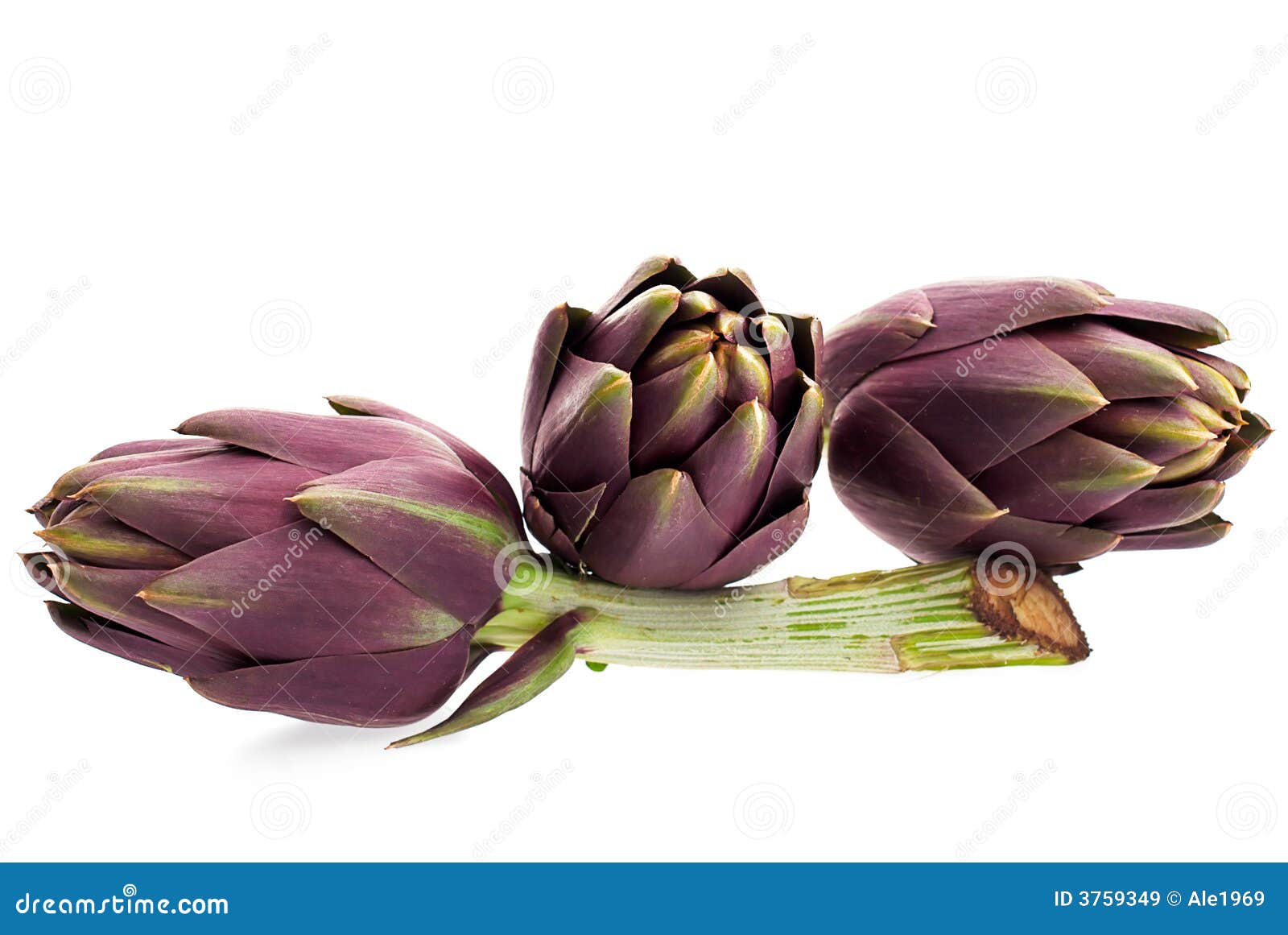 artichokes