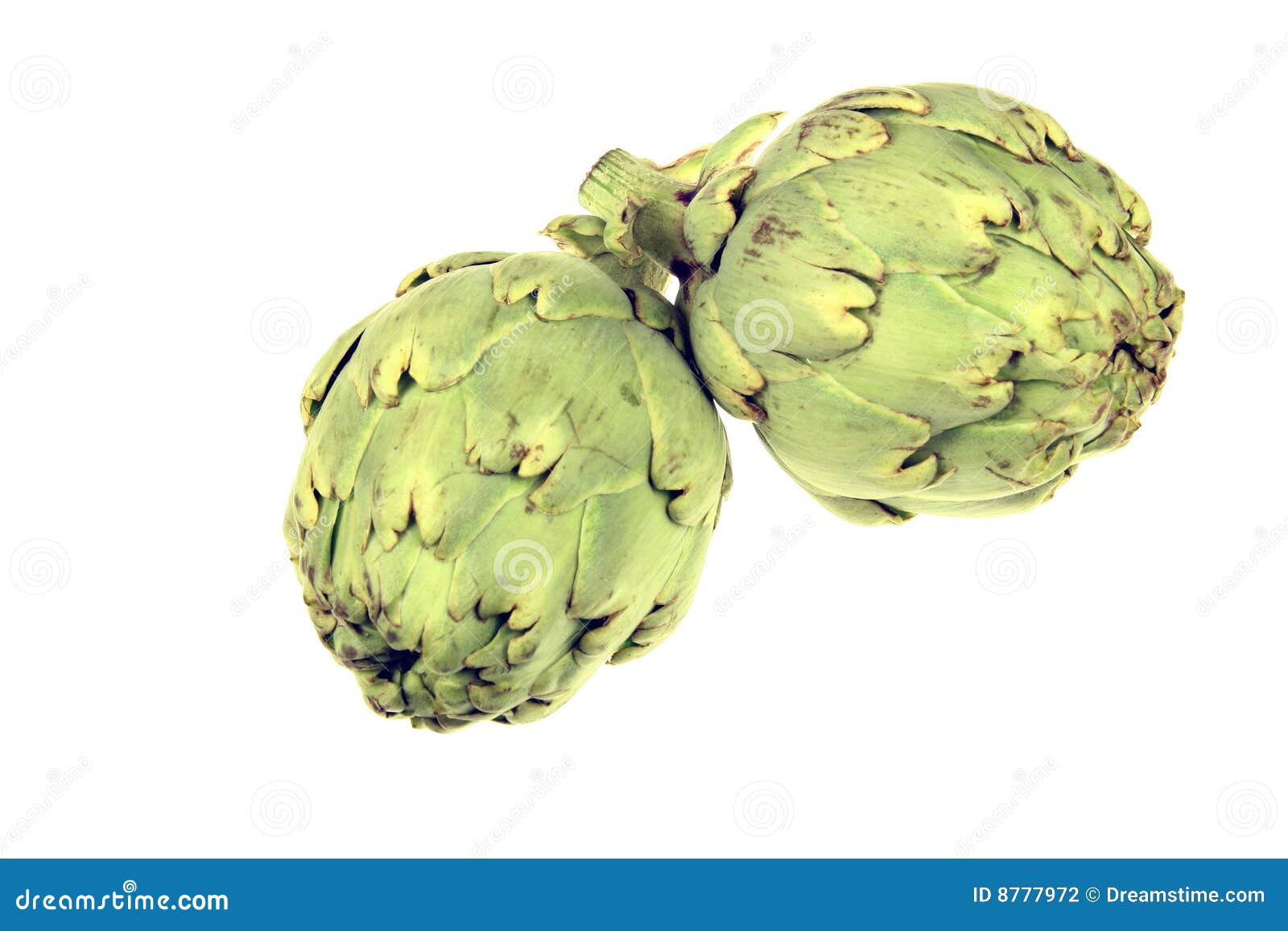 Artichokes stock photo. Image of vegetarian, salad, fruit 8777972