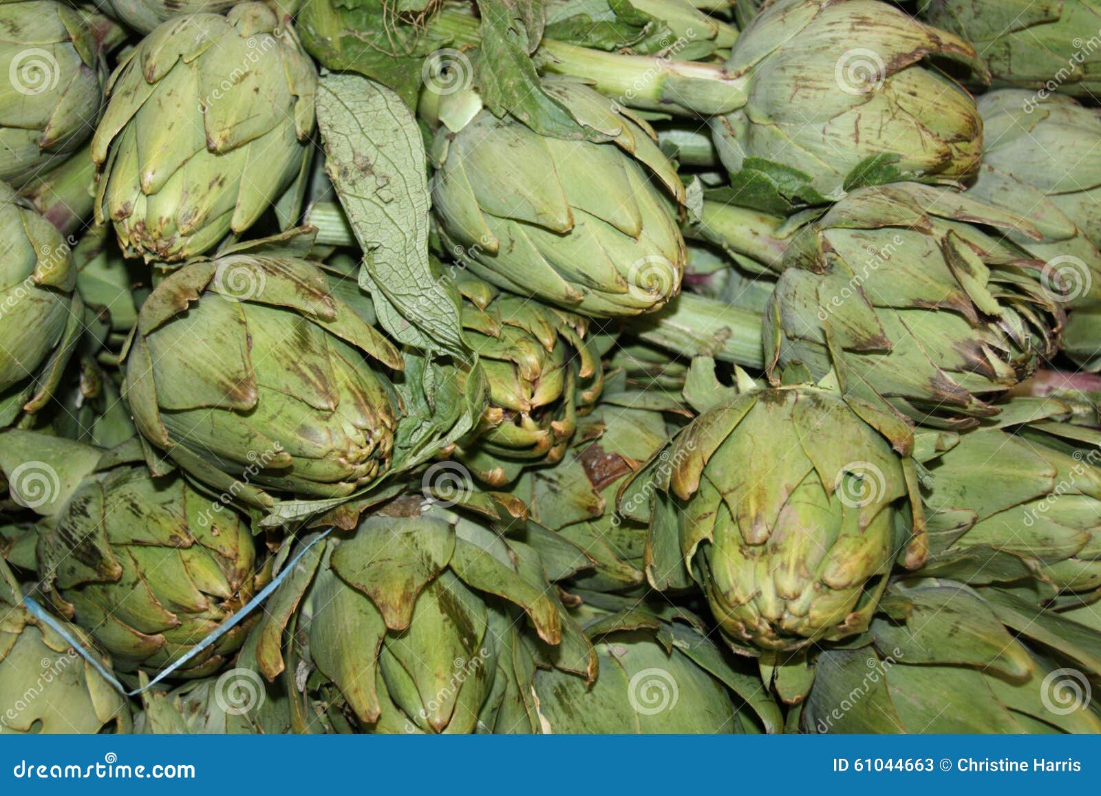 Artichokes stock image. Image of green, vegetarian, market 61044663