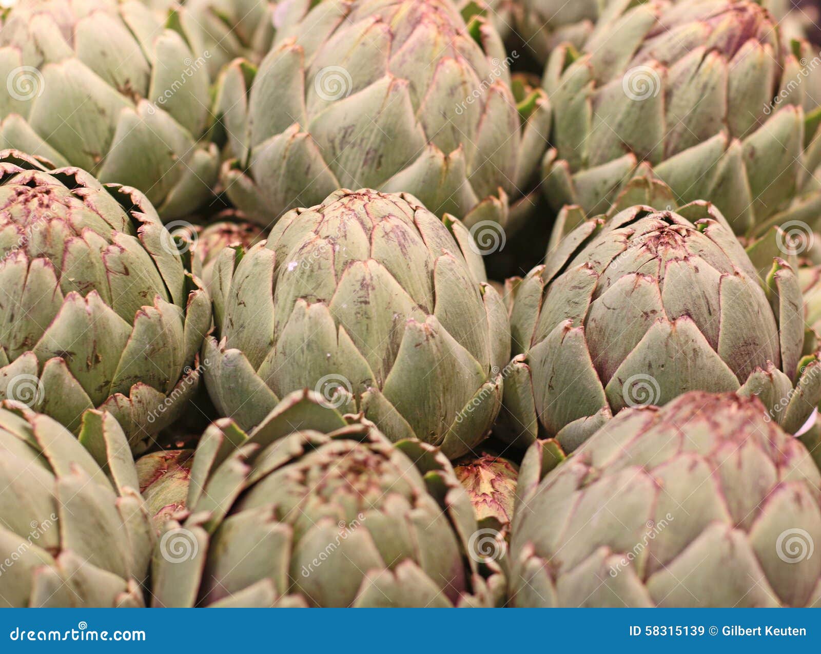 Artichokes stock image. Image of delicacy, closeup, green 58315139