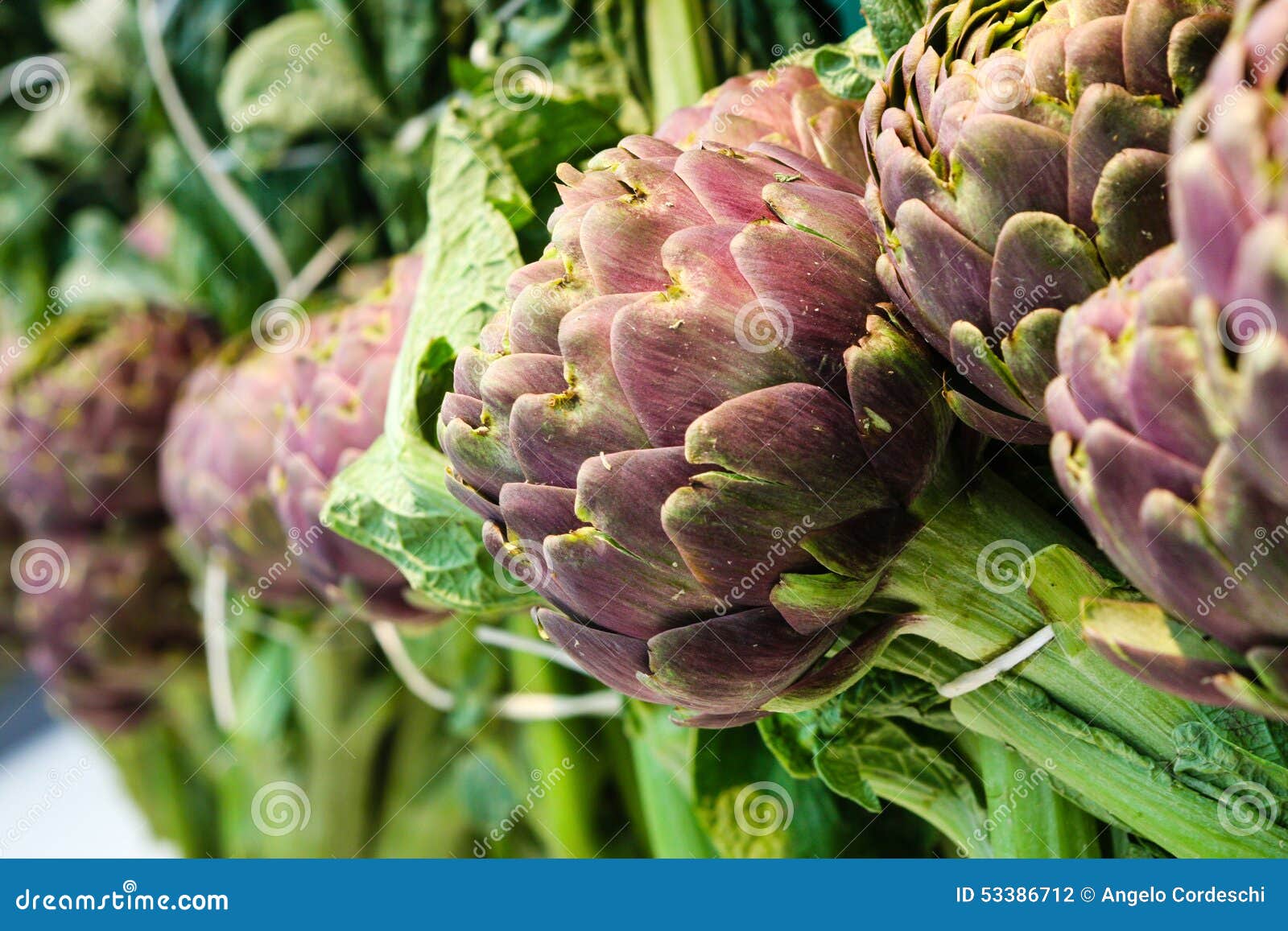 Artichokes Macro. Vegetables. Full Image Closeup. Stock Photo Image