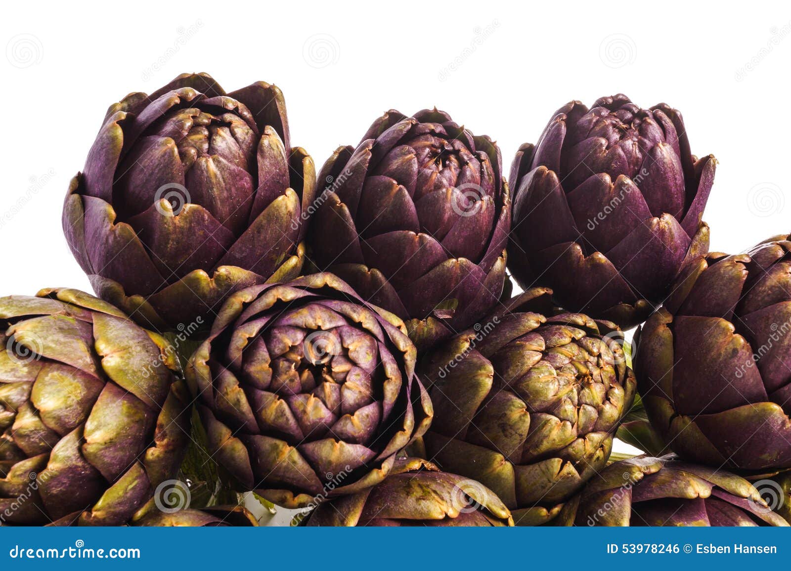 Artichokes stock photo. Image of artichokes, organic 53978246