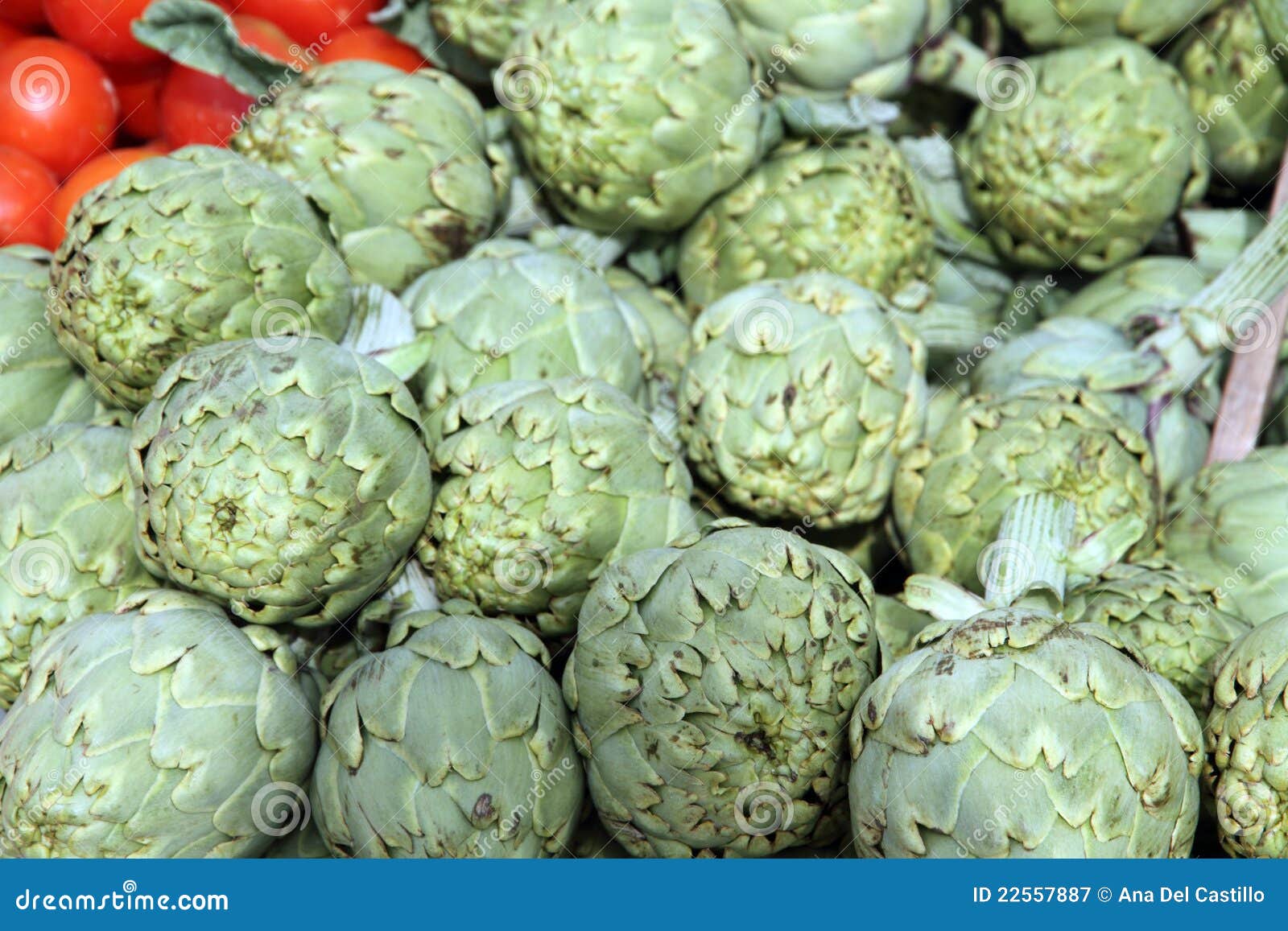 Artichokes on a Stall Spain Stock Image Image of fresh, exterior