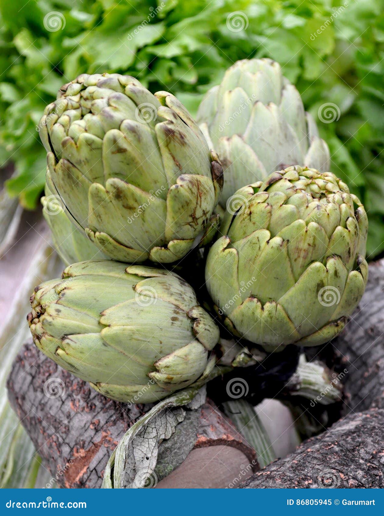 Artichokes and wood stock image. Image of fresh, wood 86805945