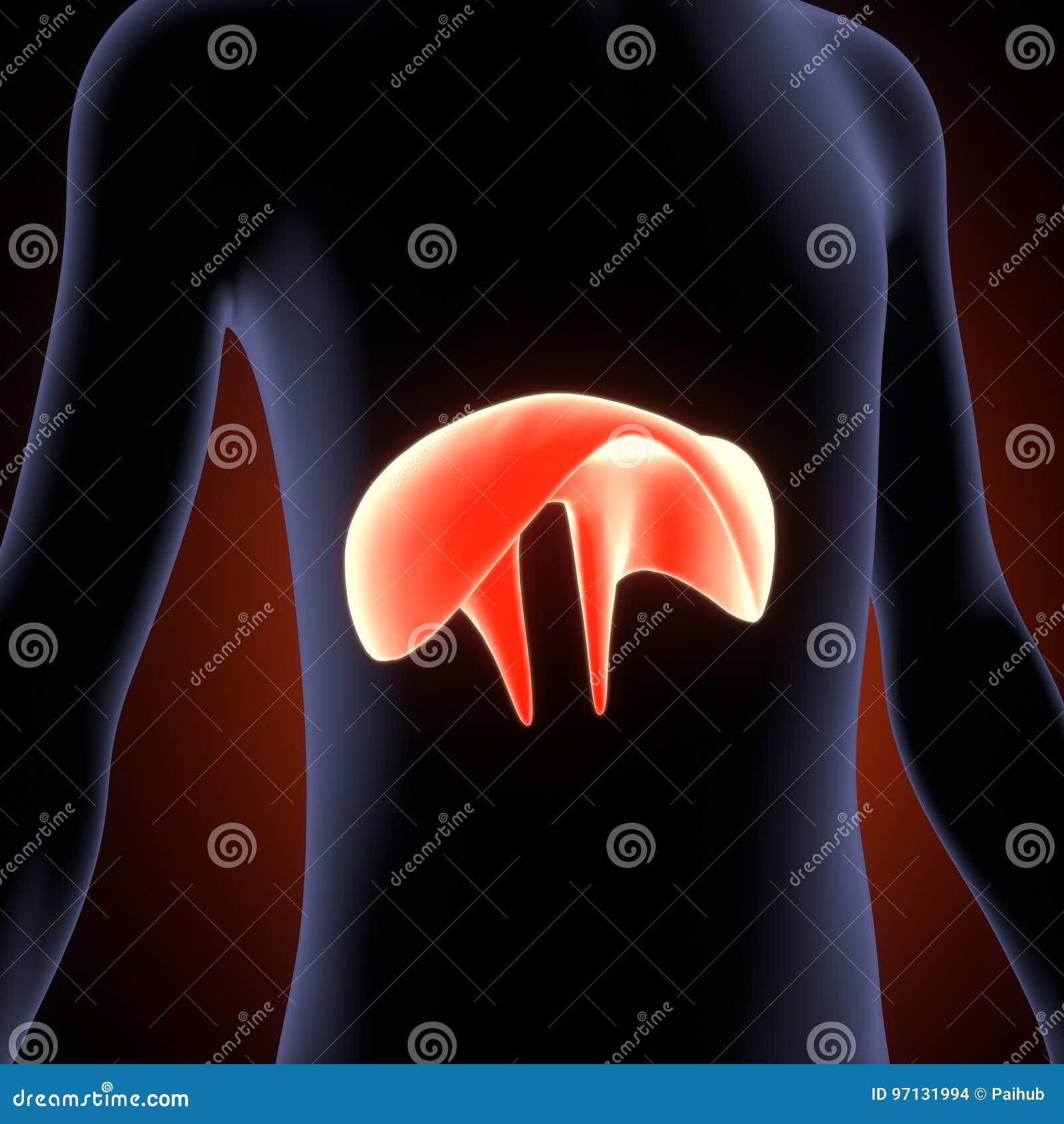 Definition Of What Is Plateau Effect Vector 199976991