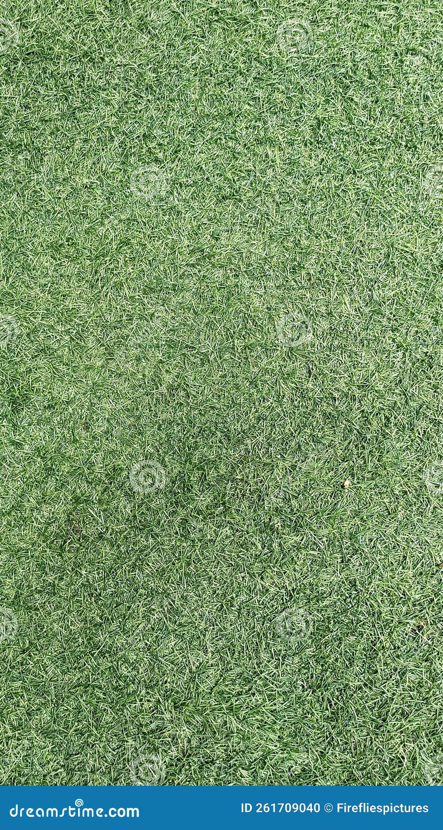 Artifical Grass Texture stock photo. Image of environmental 261709040