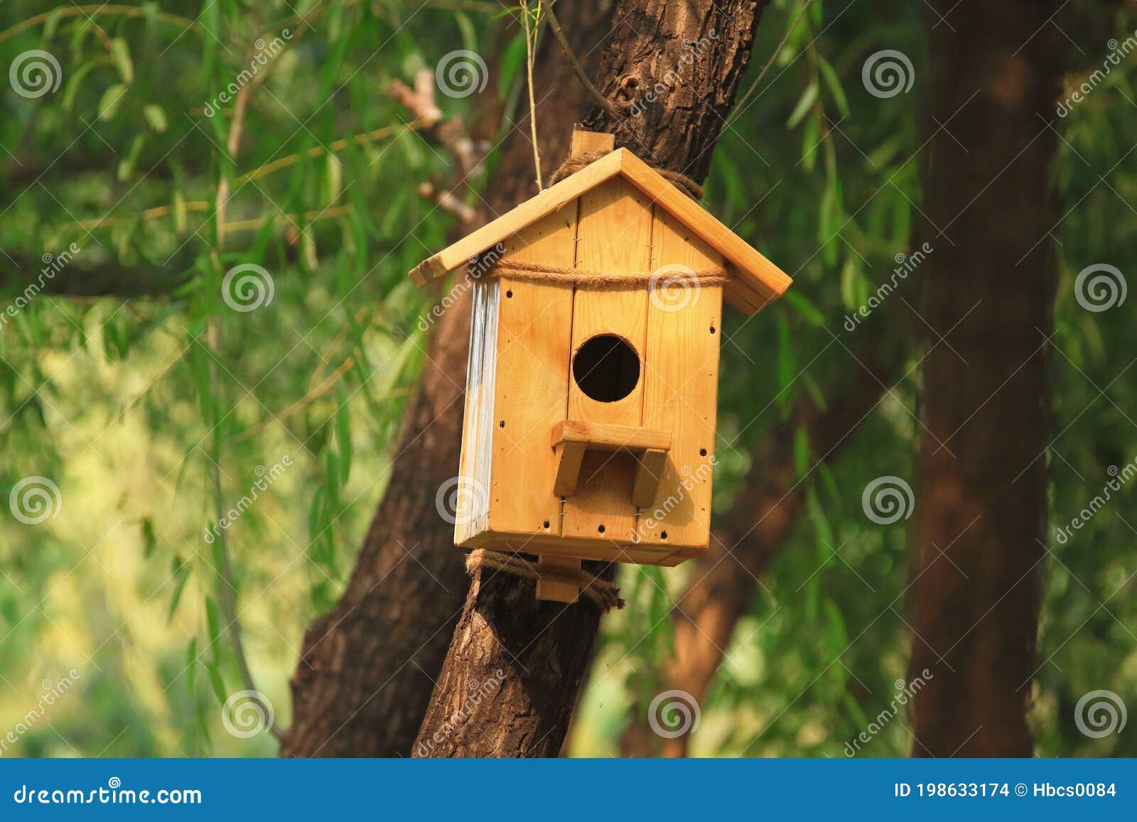 Artificial Bird Nest Stock Photo Image Of Include Artificial 198633174