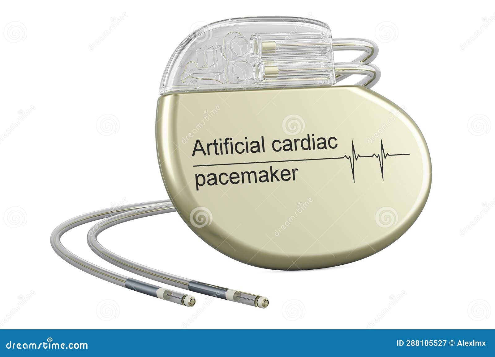 Cardiac pacemaker location vector illustration cartoondealer