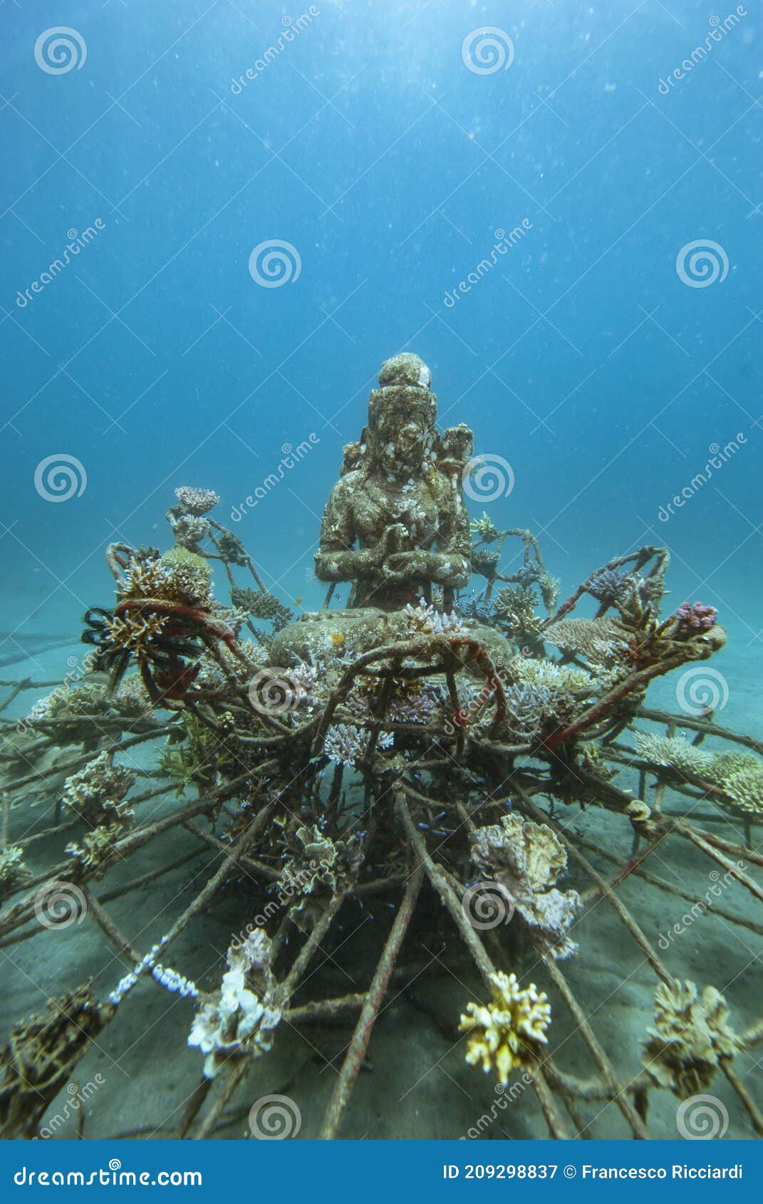 artificial coral reef underwater bali