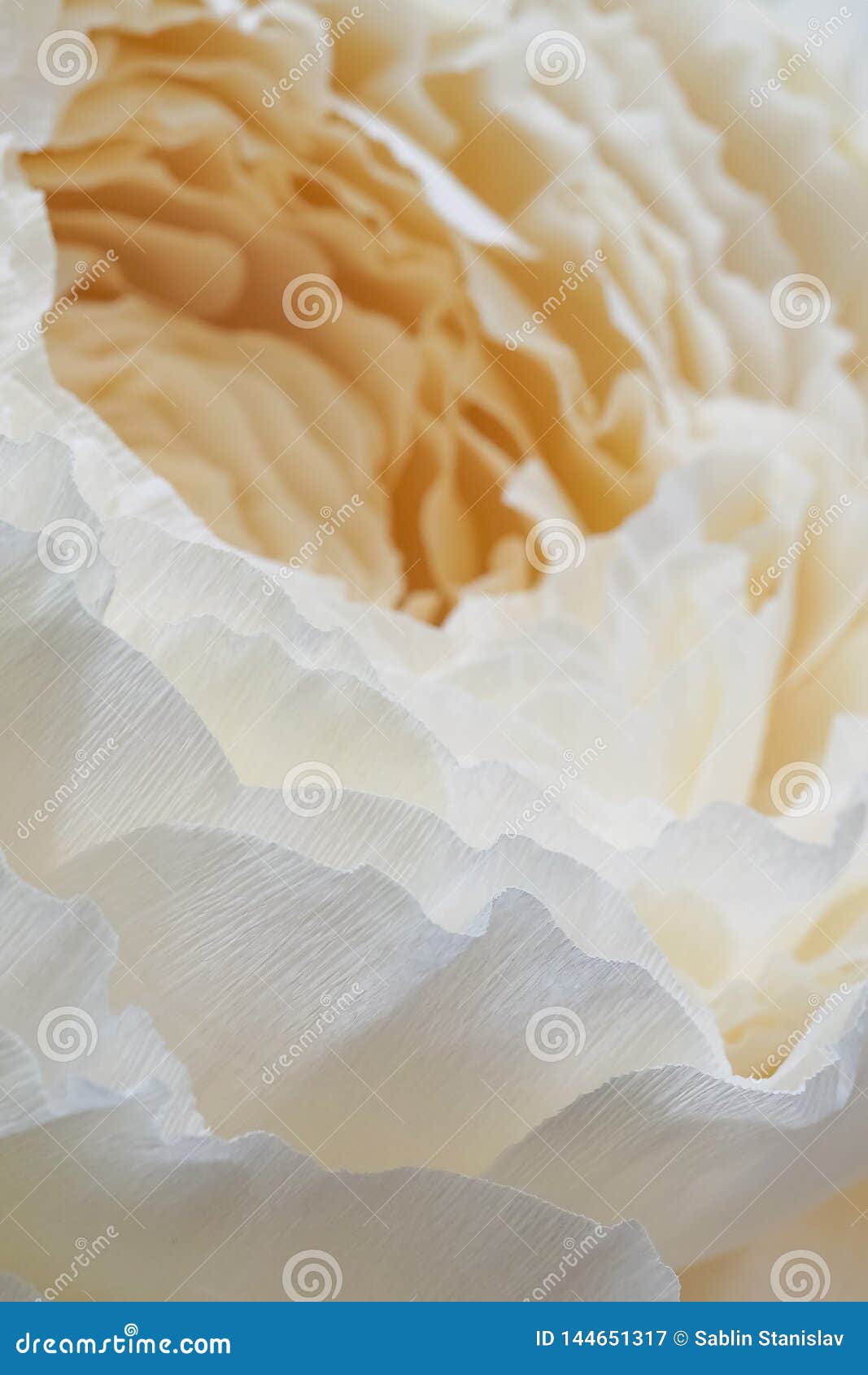 Artificial Flowers Made of Paper. Close Up. Stock Image Image of anniversary, detail 144651317