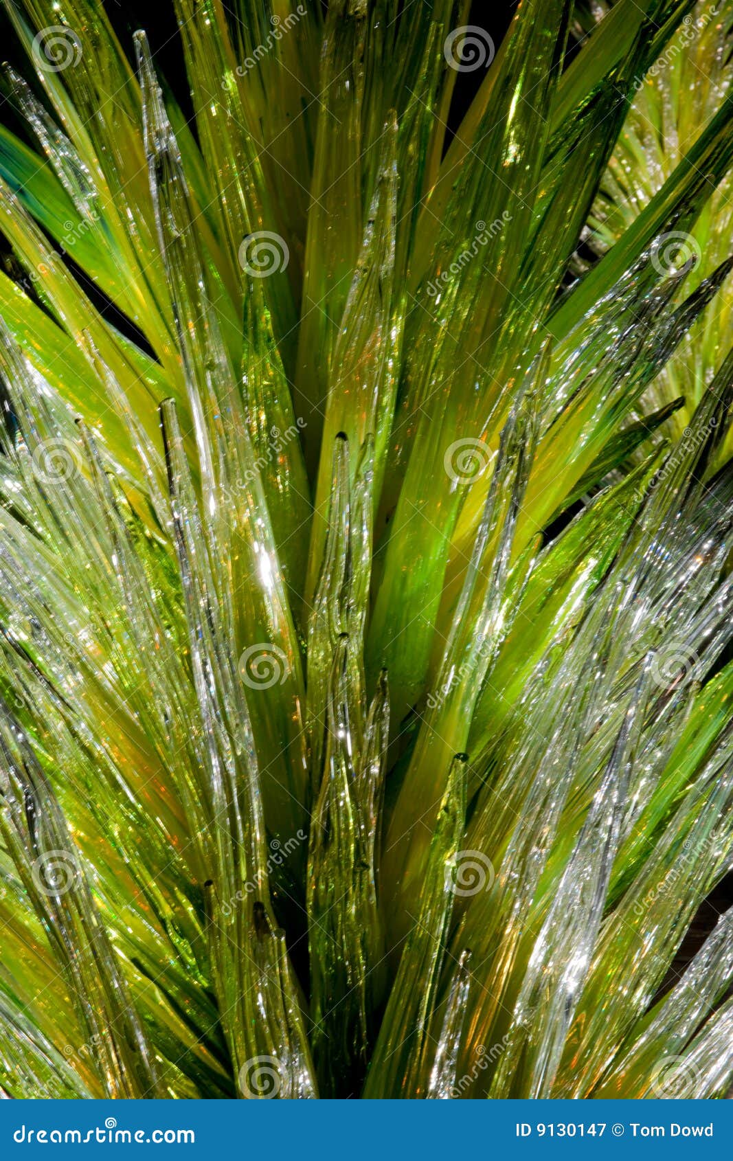 Artificial Glass Plant stock image. Image of shiny, glass 9130147