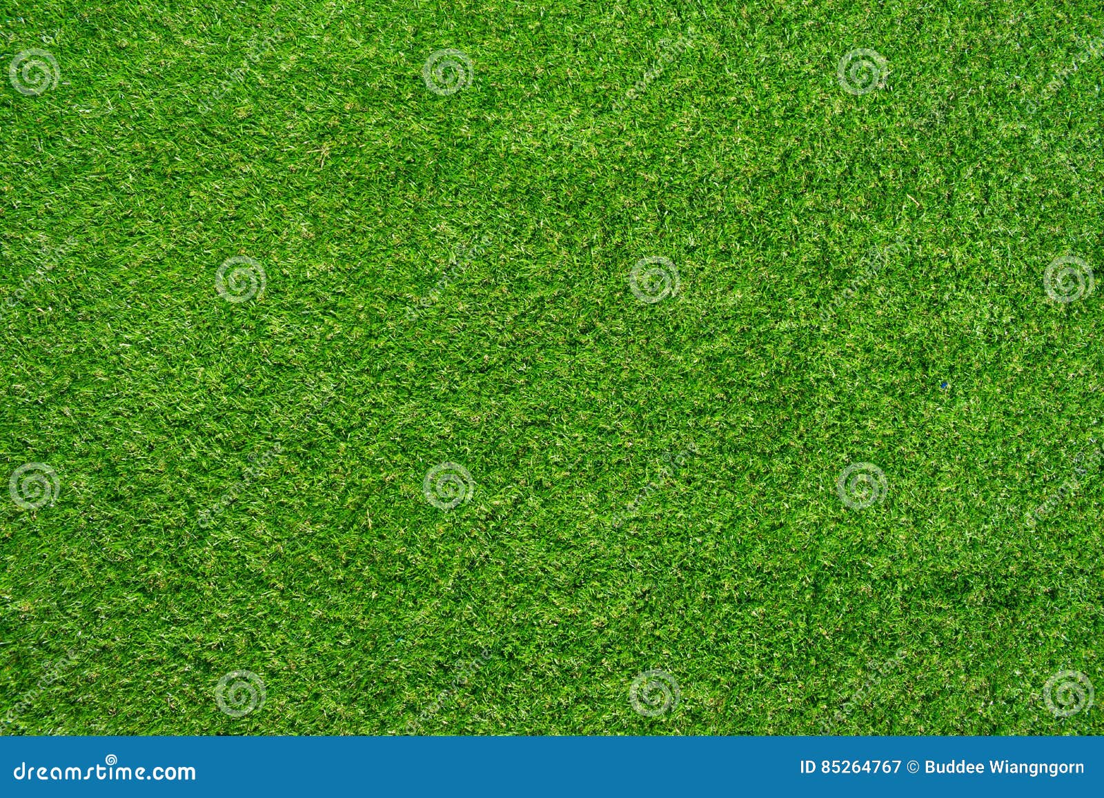 Artificial Grass Stock Image Image Of Design Blue Floor